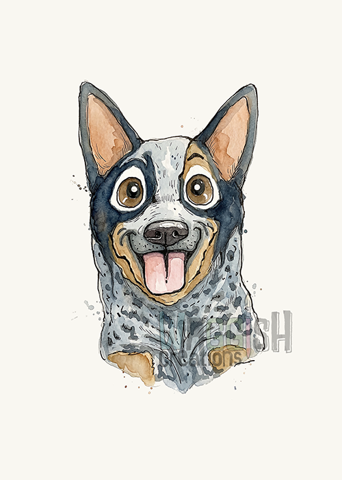 Australian Cattle Dog (Blue Heeler)