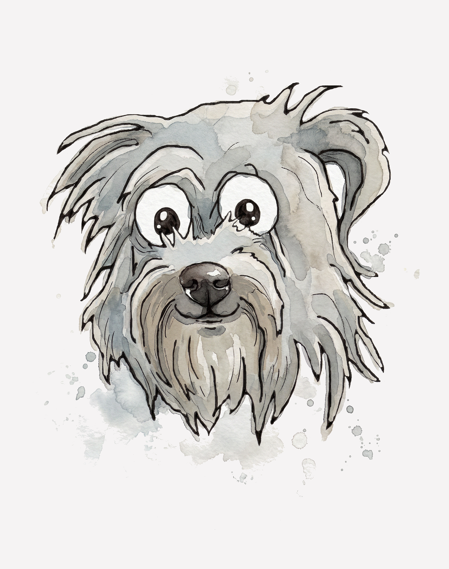 Maltese Face