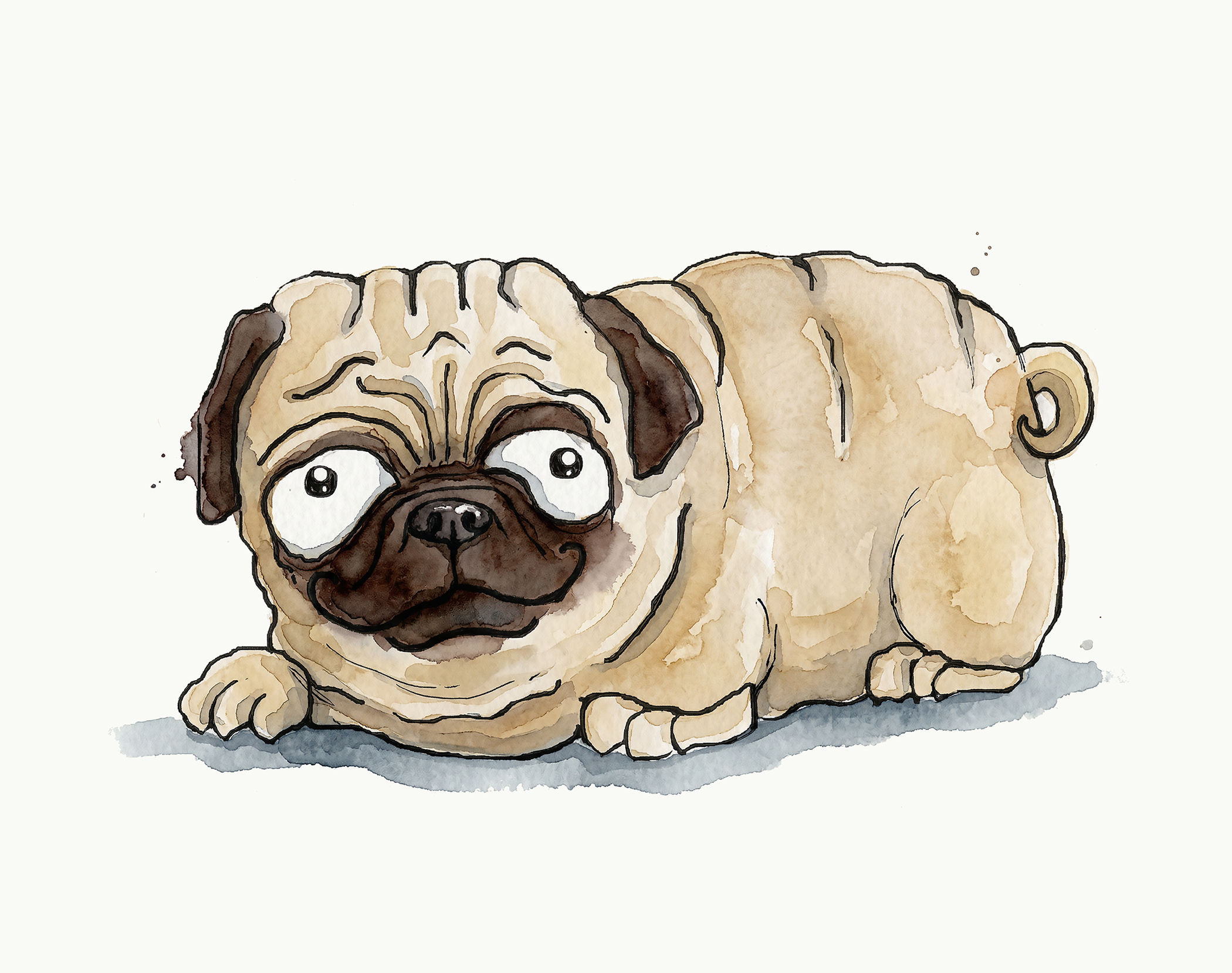 Pug Lying Down