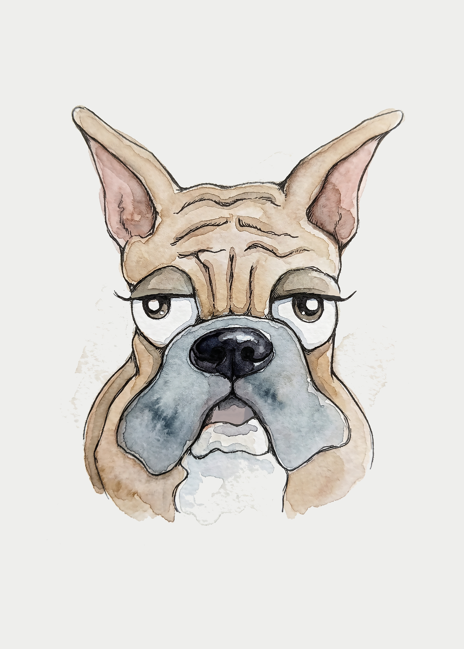 Boxer