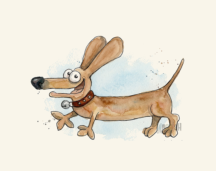 Dachshund Running