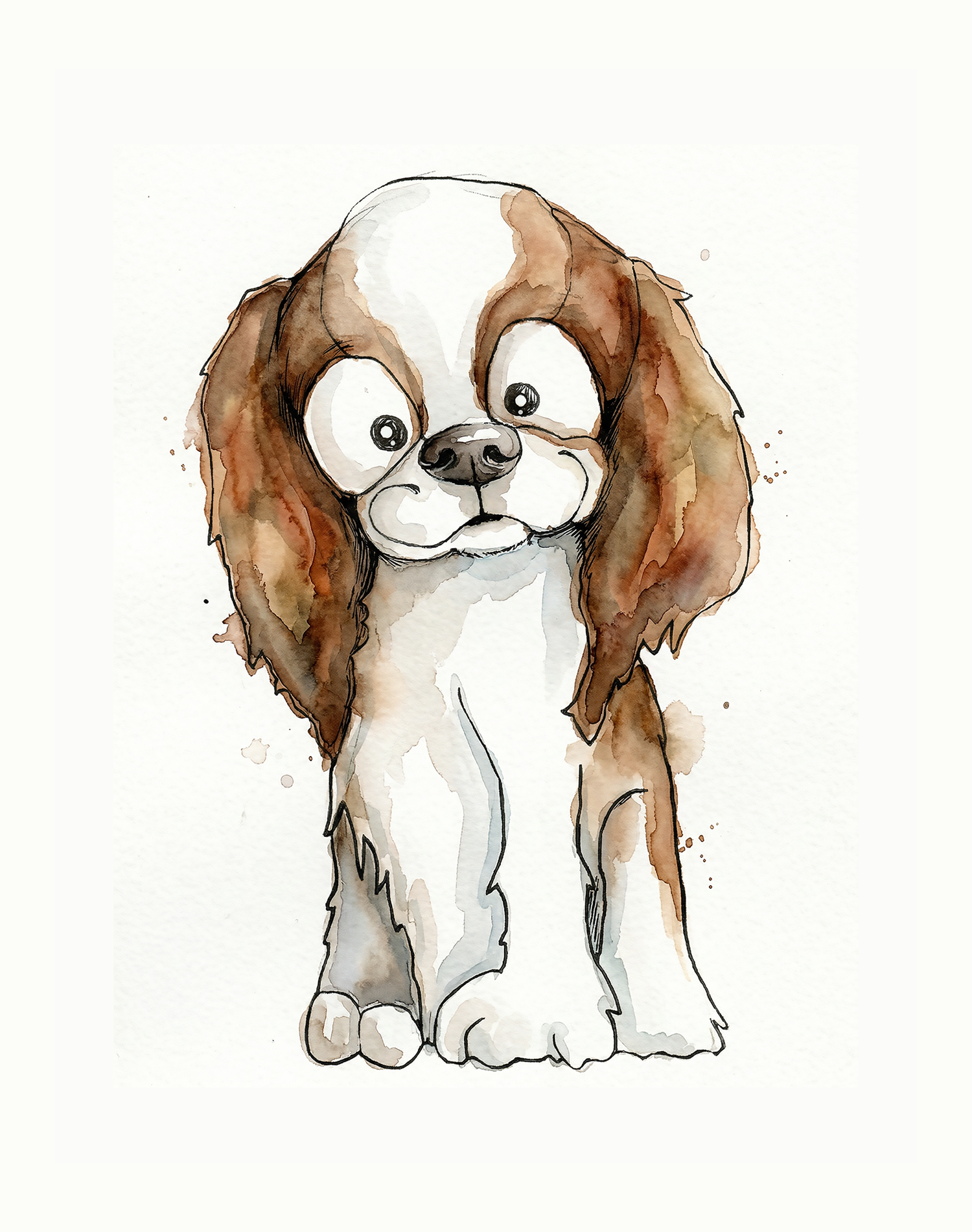 King Charles Cavalier Spaniel