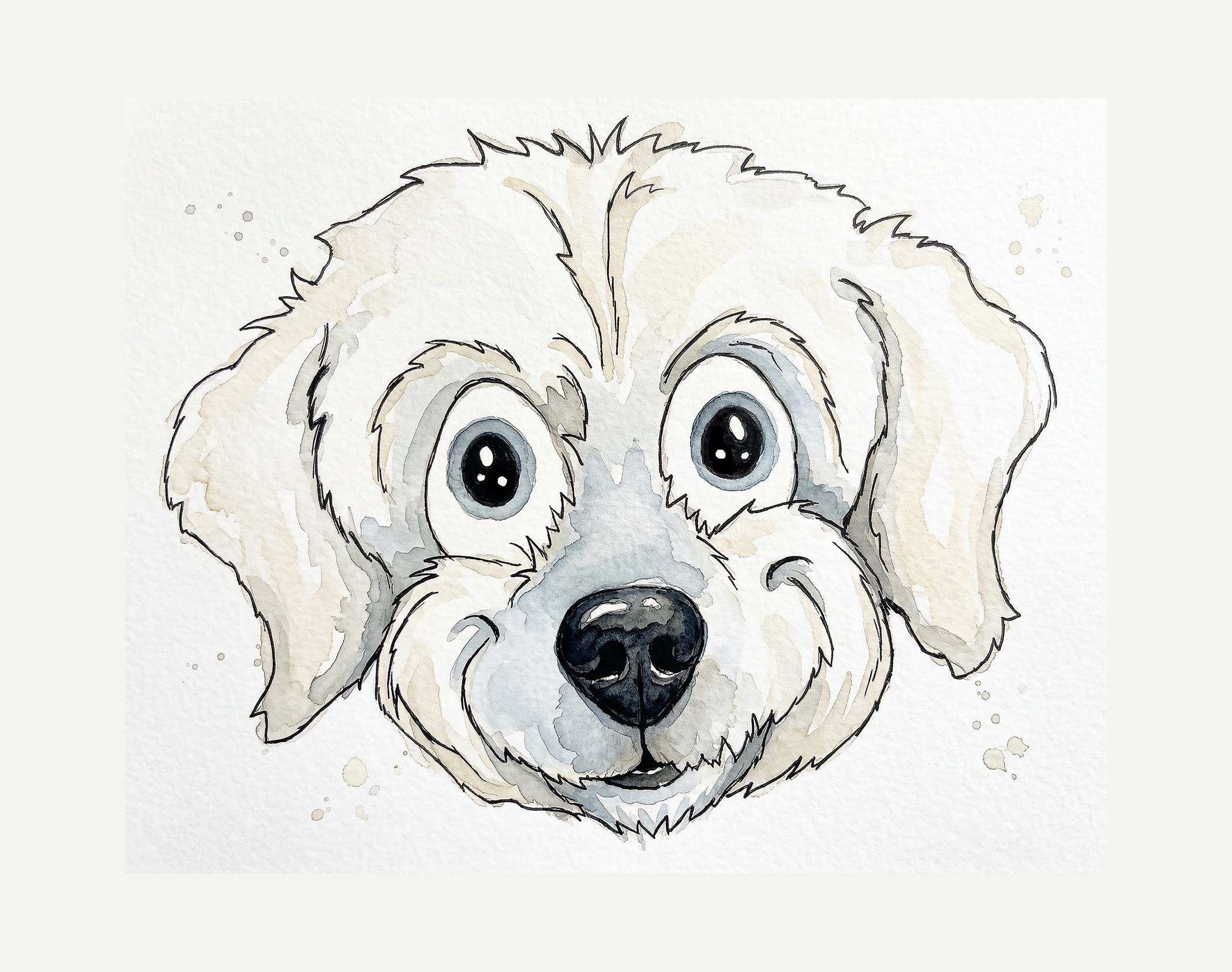 Maltipoo Face