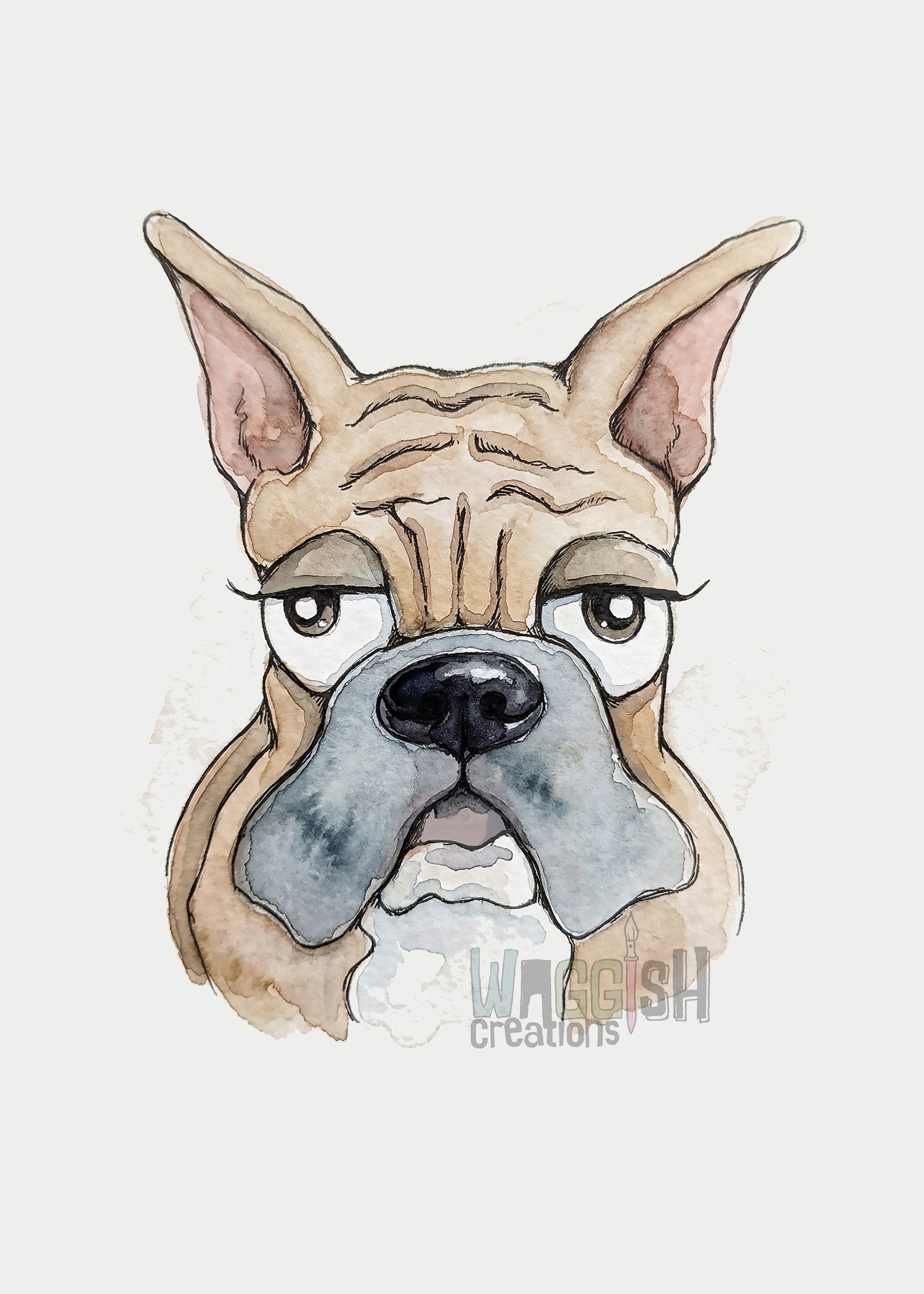 Boxer