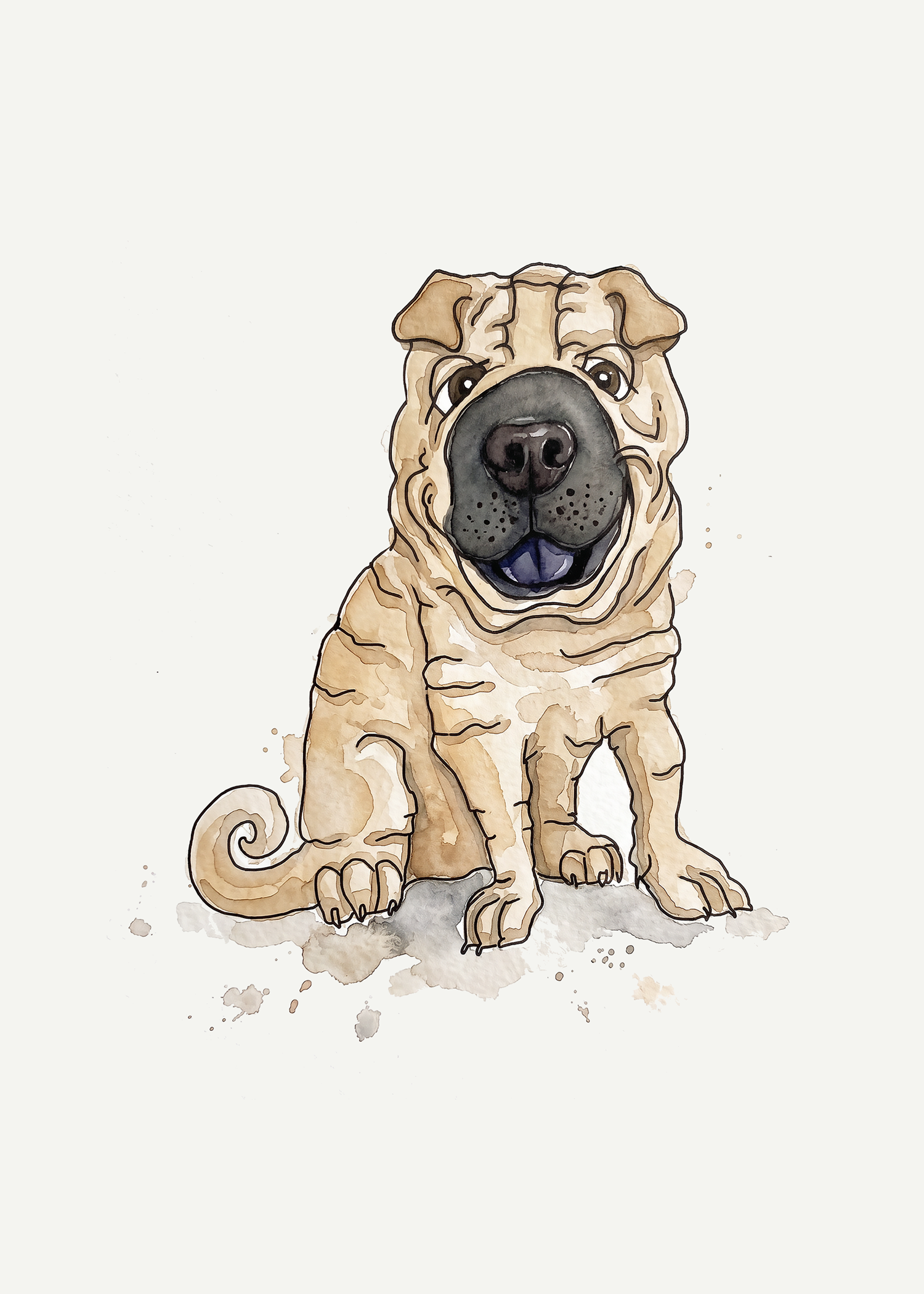 Chinese Shar-pei