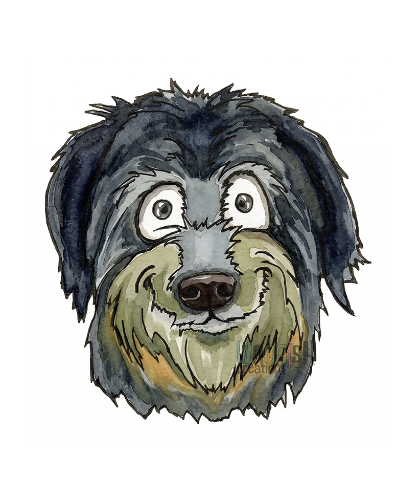 Pyrenean Shepherd