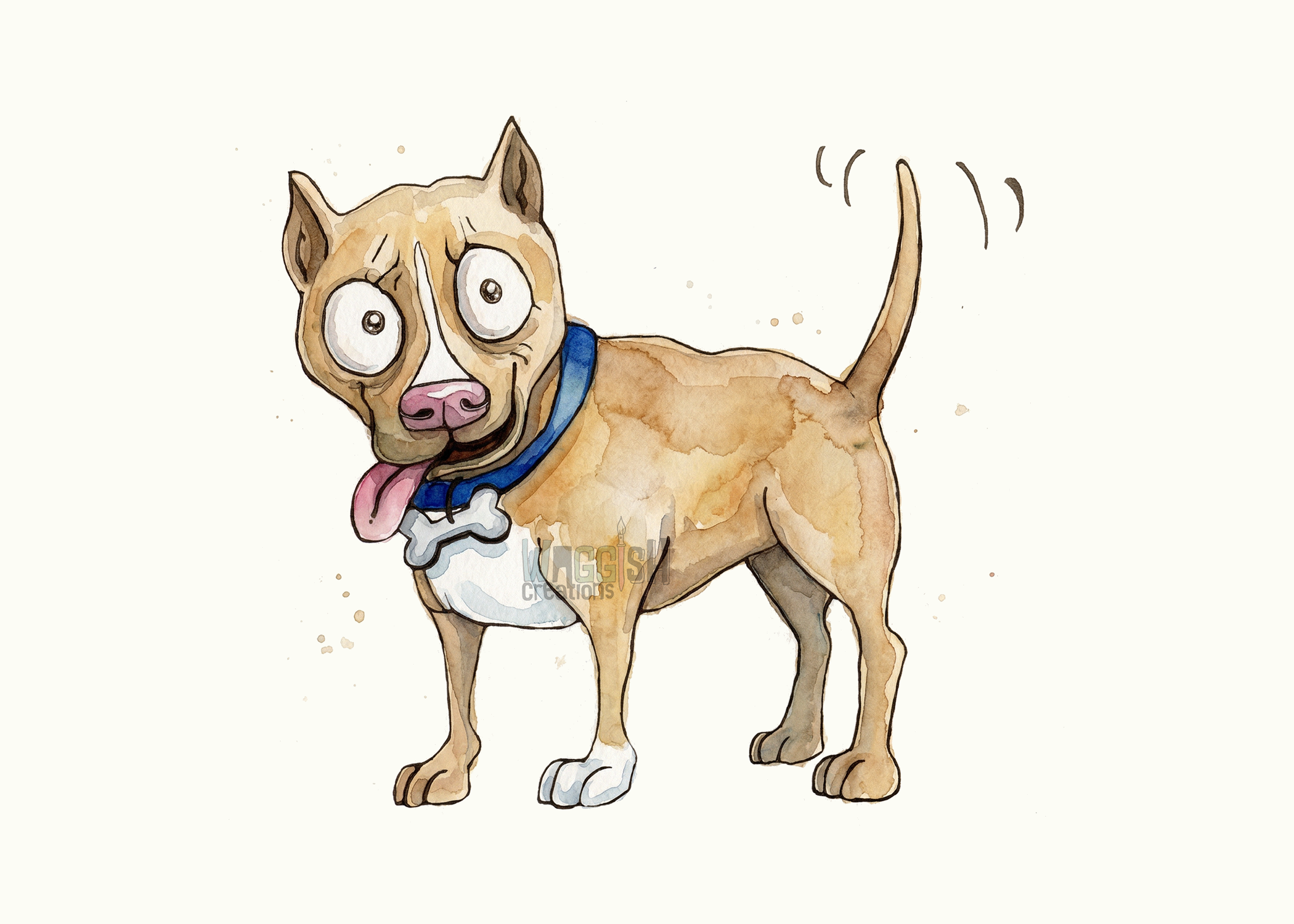 American Pit Bull