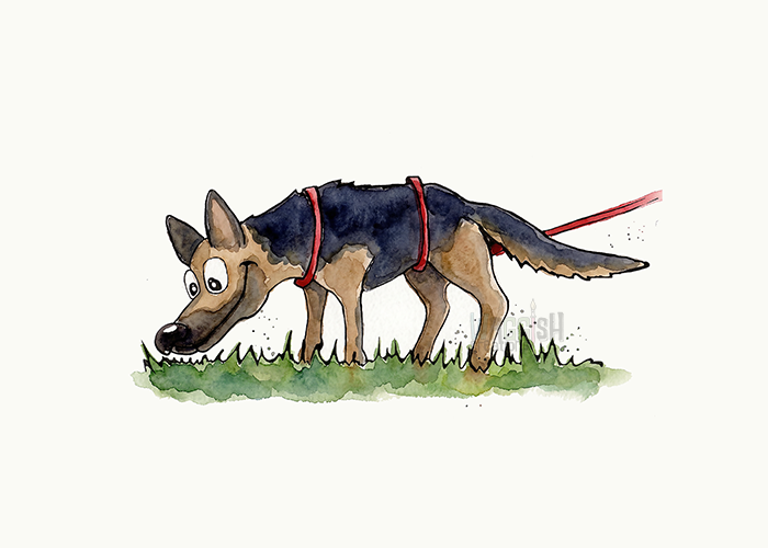 German Schepherd Tracking