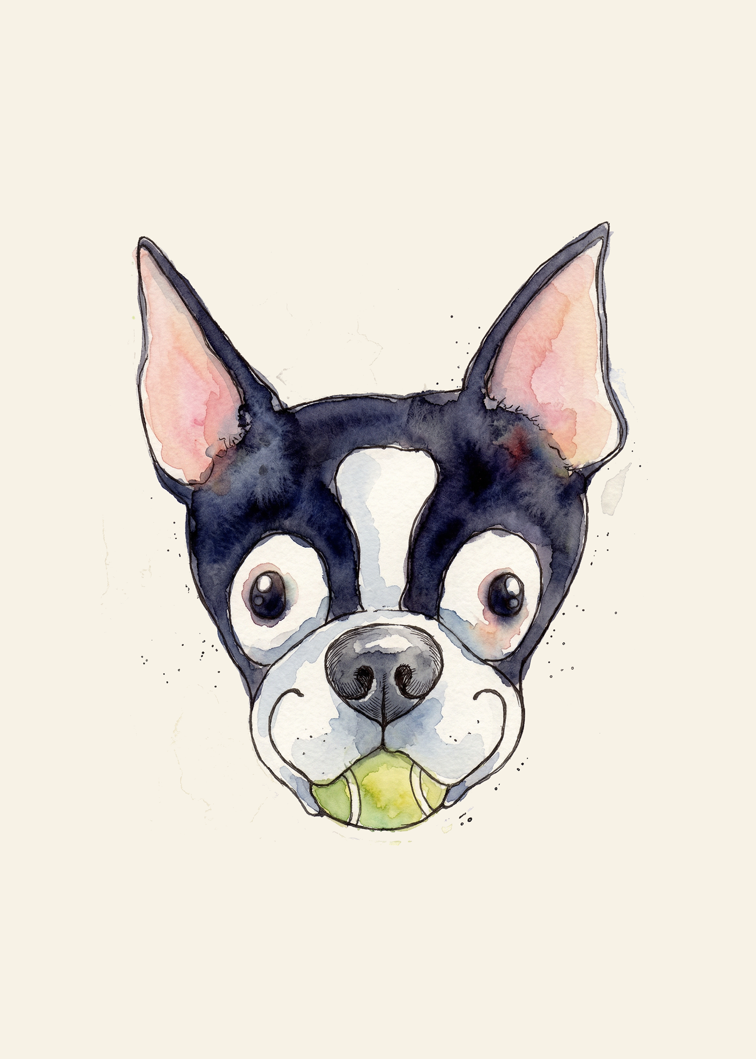 Boston Terrier Face with Ball