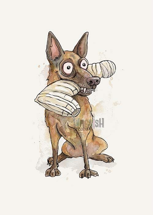 Malinois with Bite Sleeve