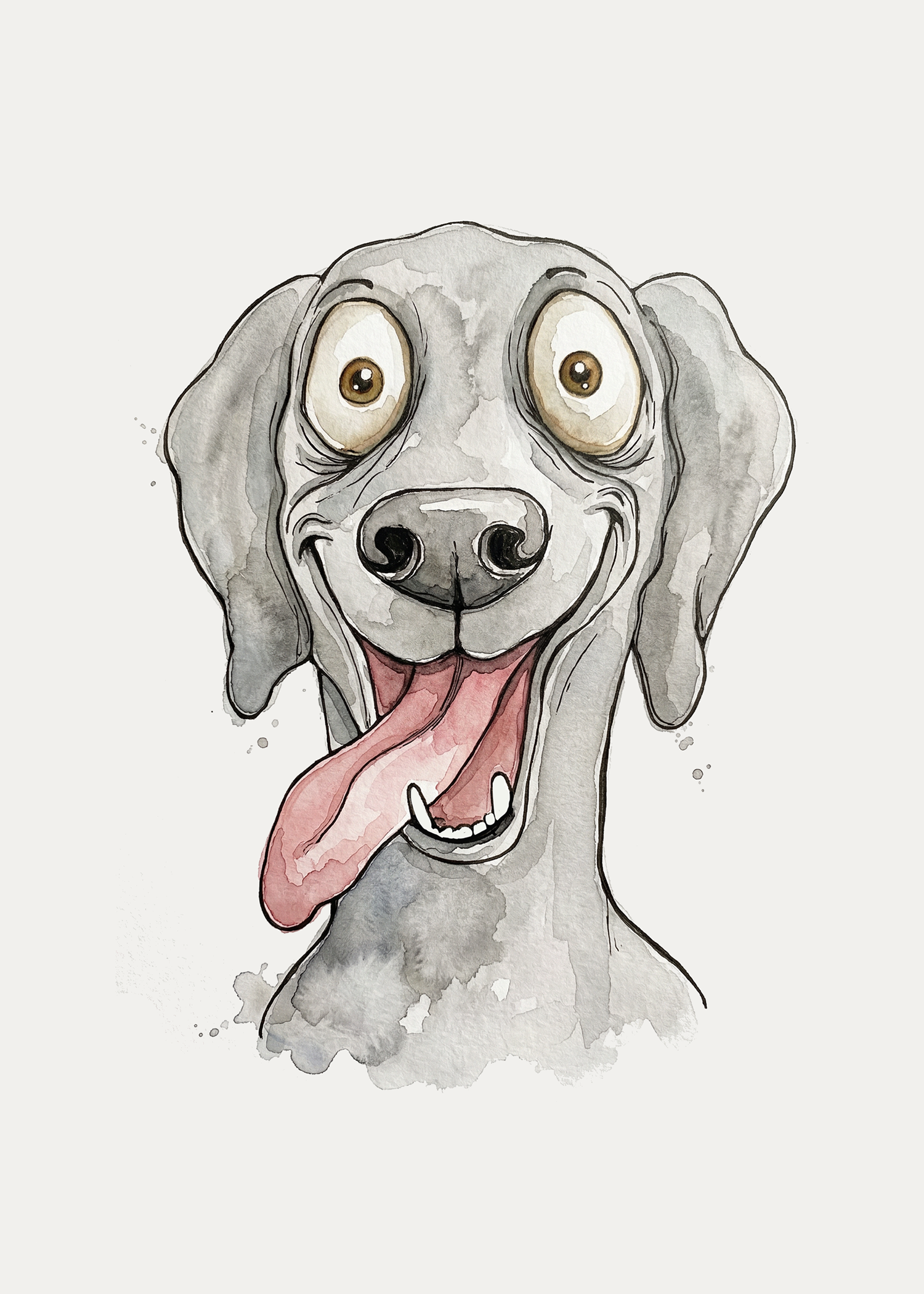 Weimaraner