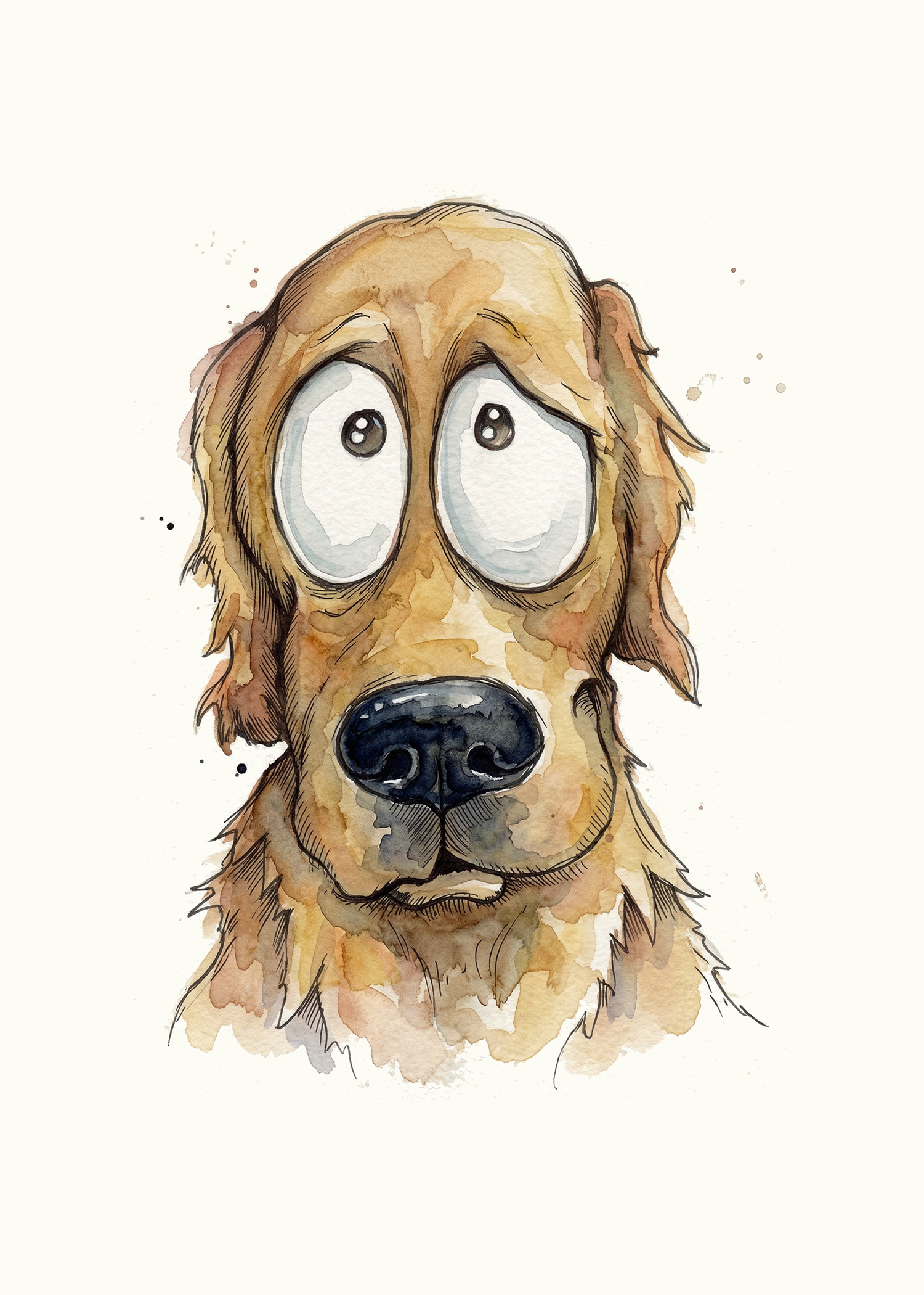 Golden Retriever Face