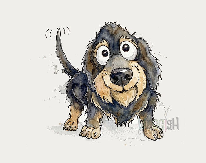 Dachshund Wire Haired