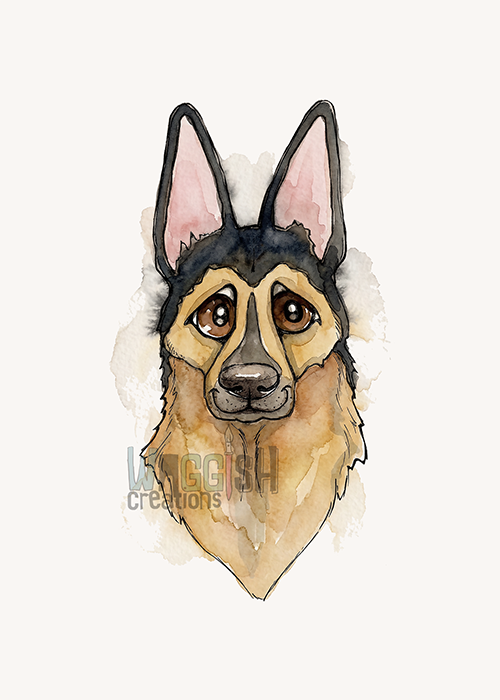 German Shepherd Serious Face
