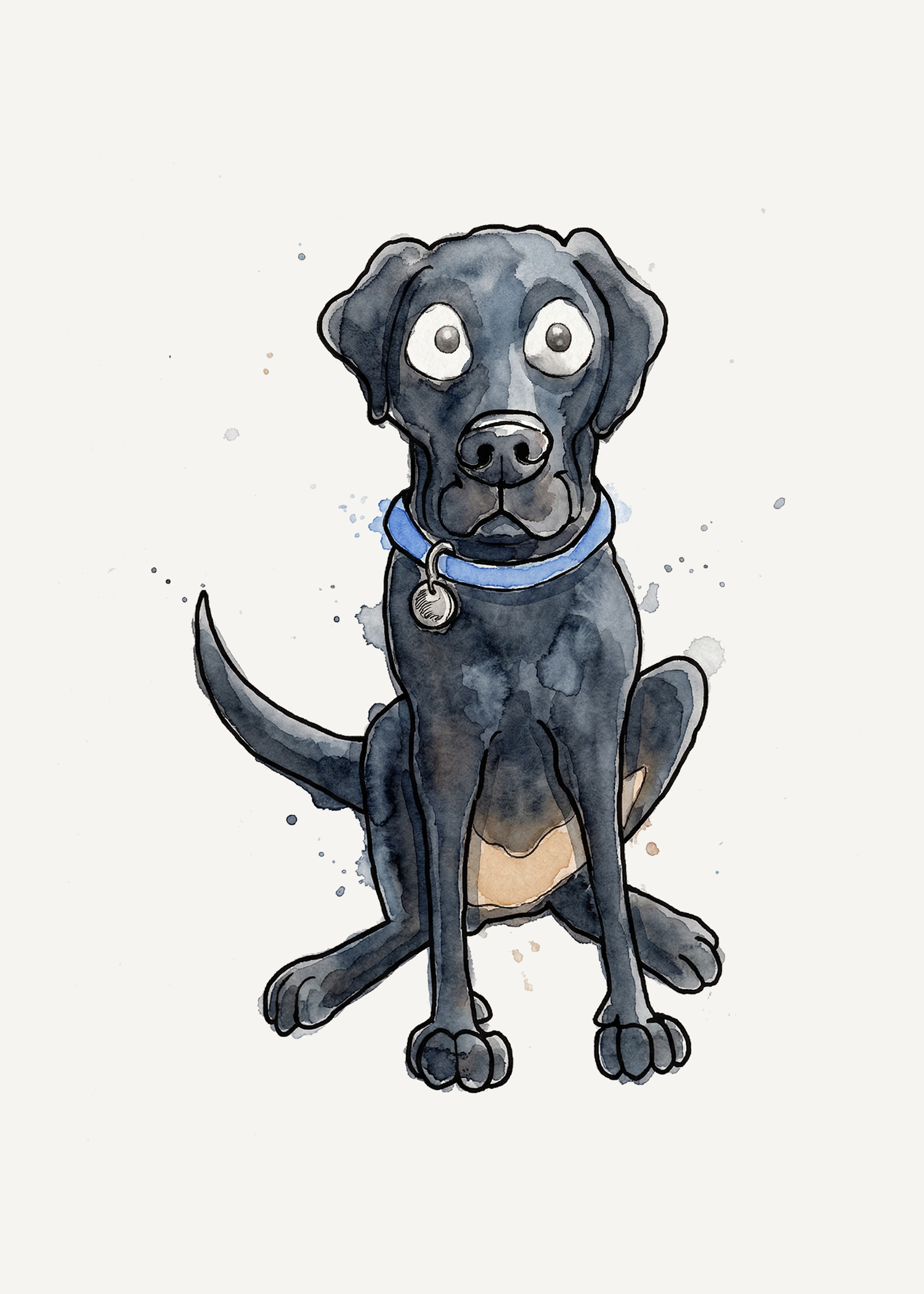 Labrador Retriever Black