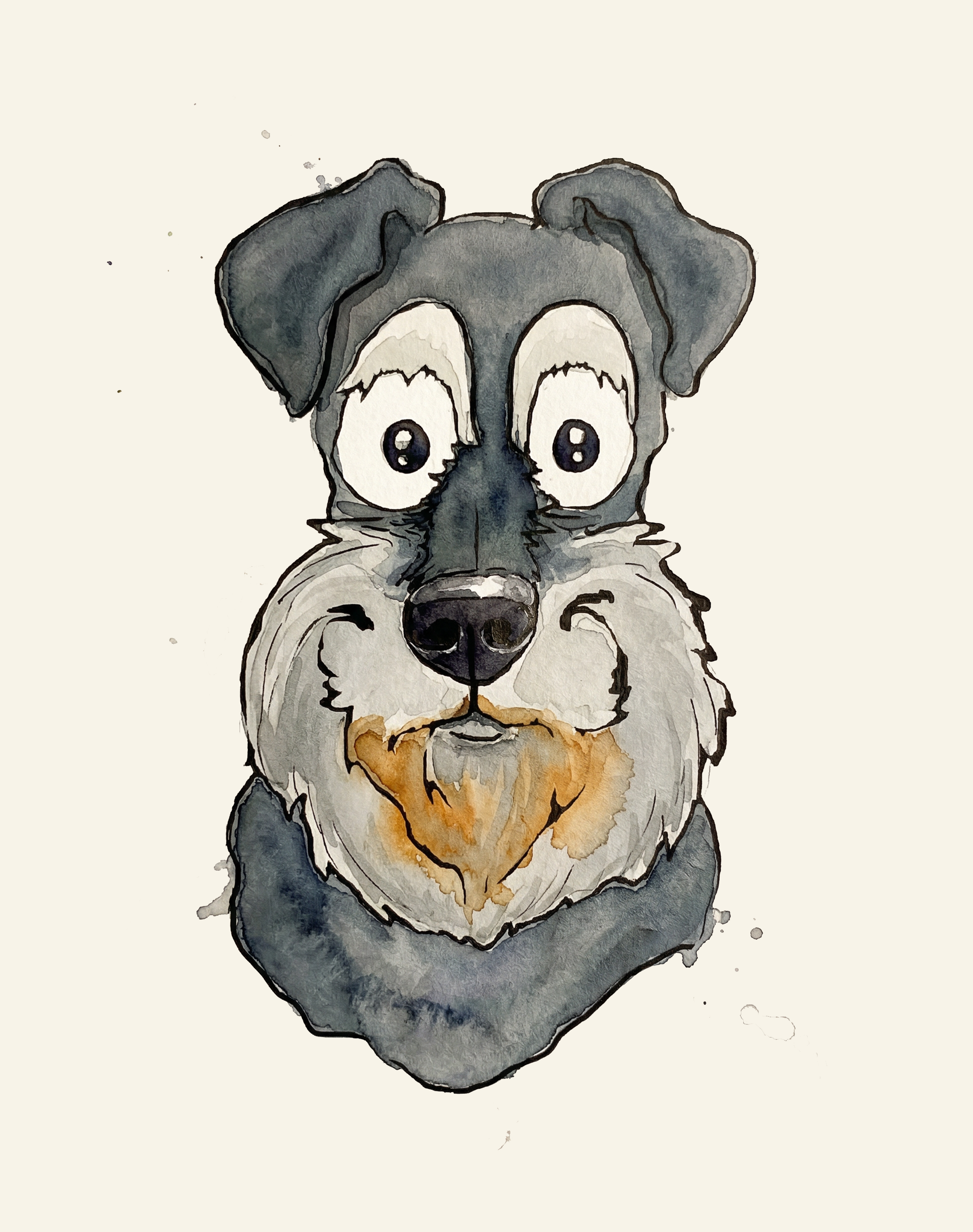 Miniature Schnauzer Face