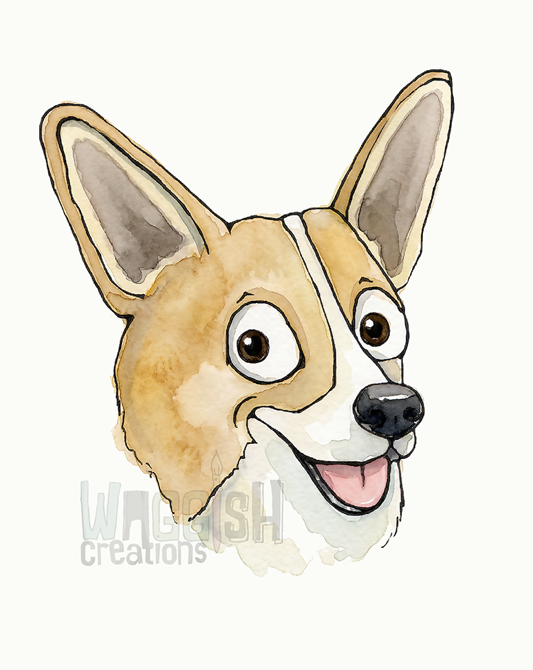 Pembroke Welsh Corgi