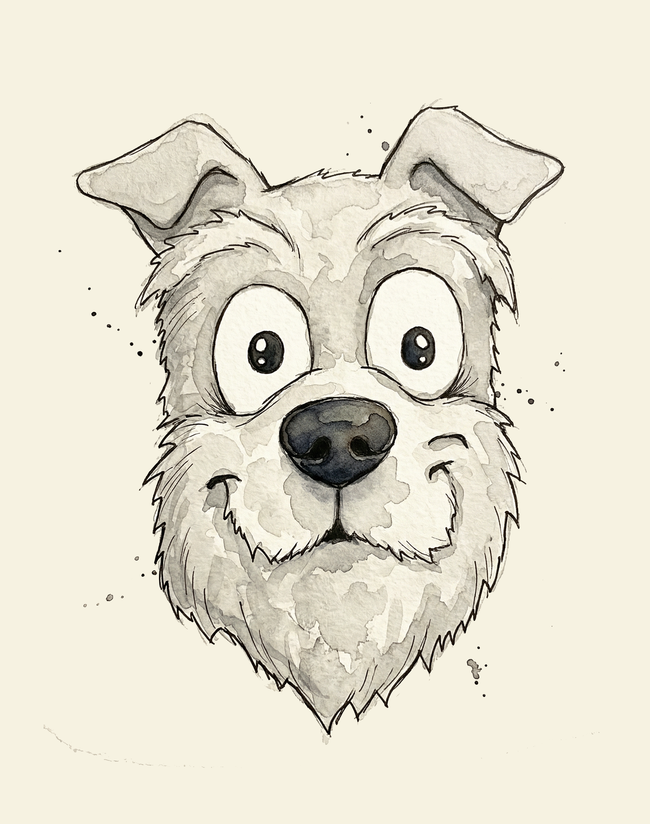 Schnauzer Face