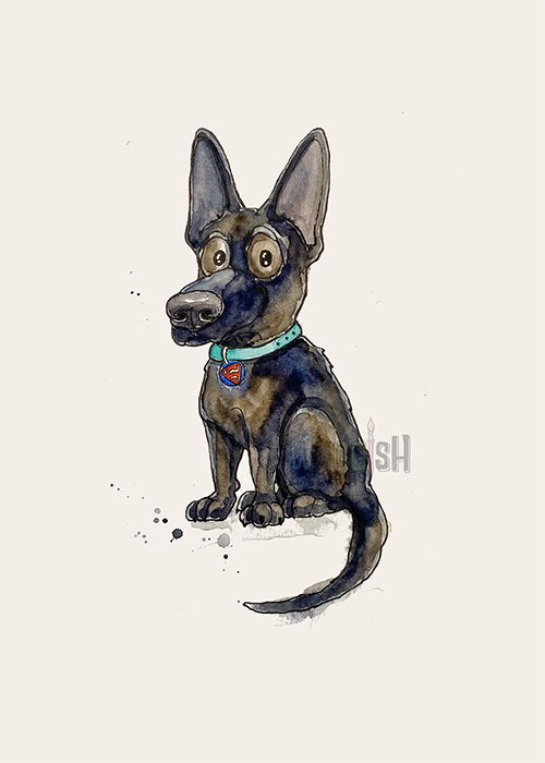 German Shepherd Puppy