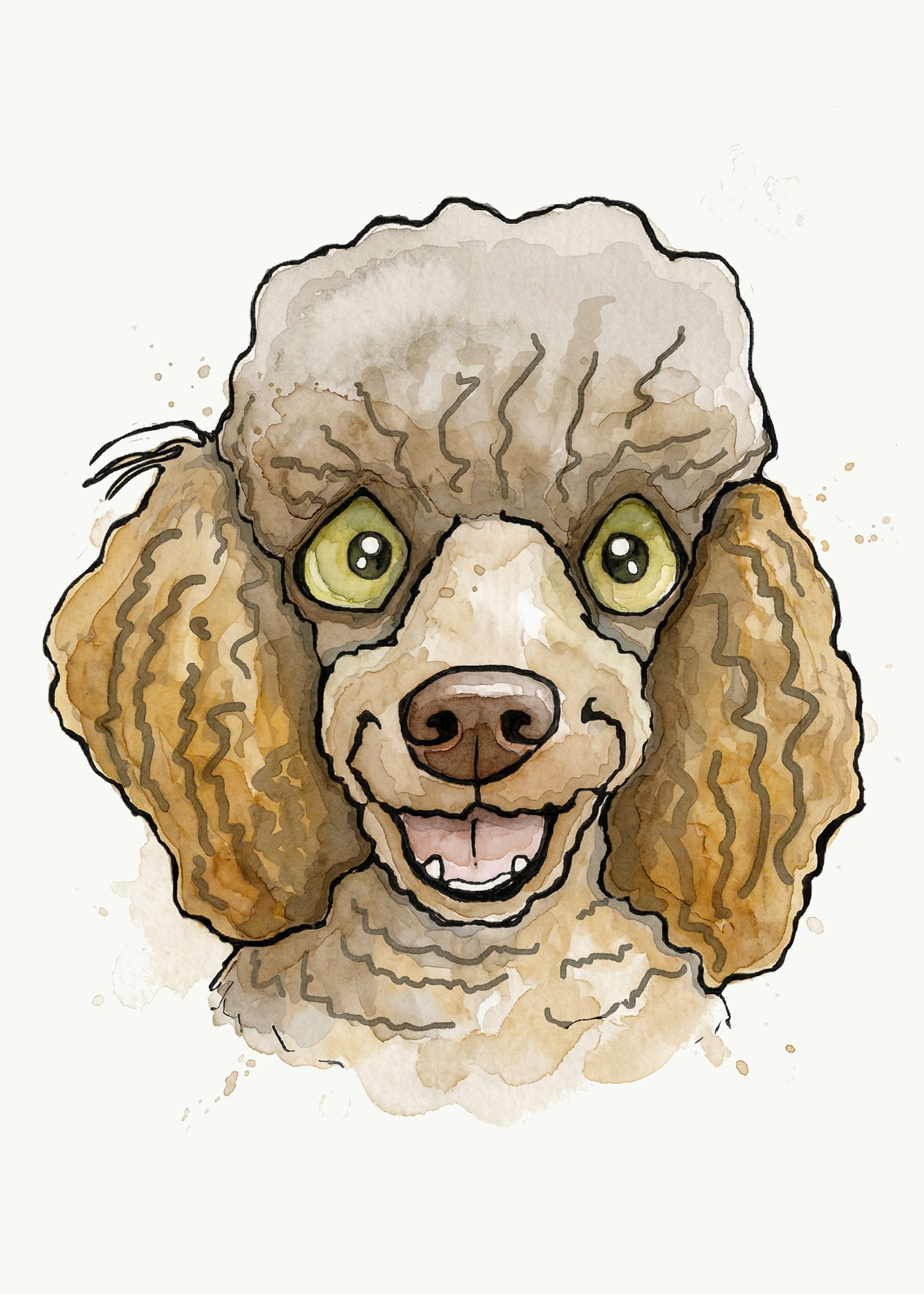 Poodle Miniature