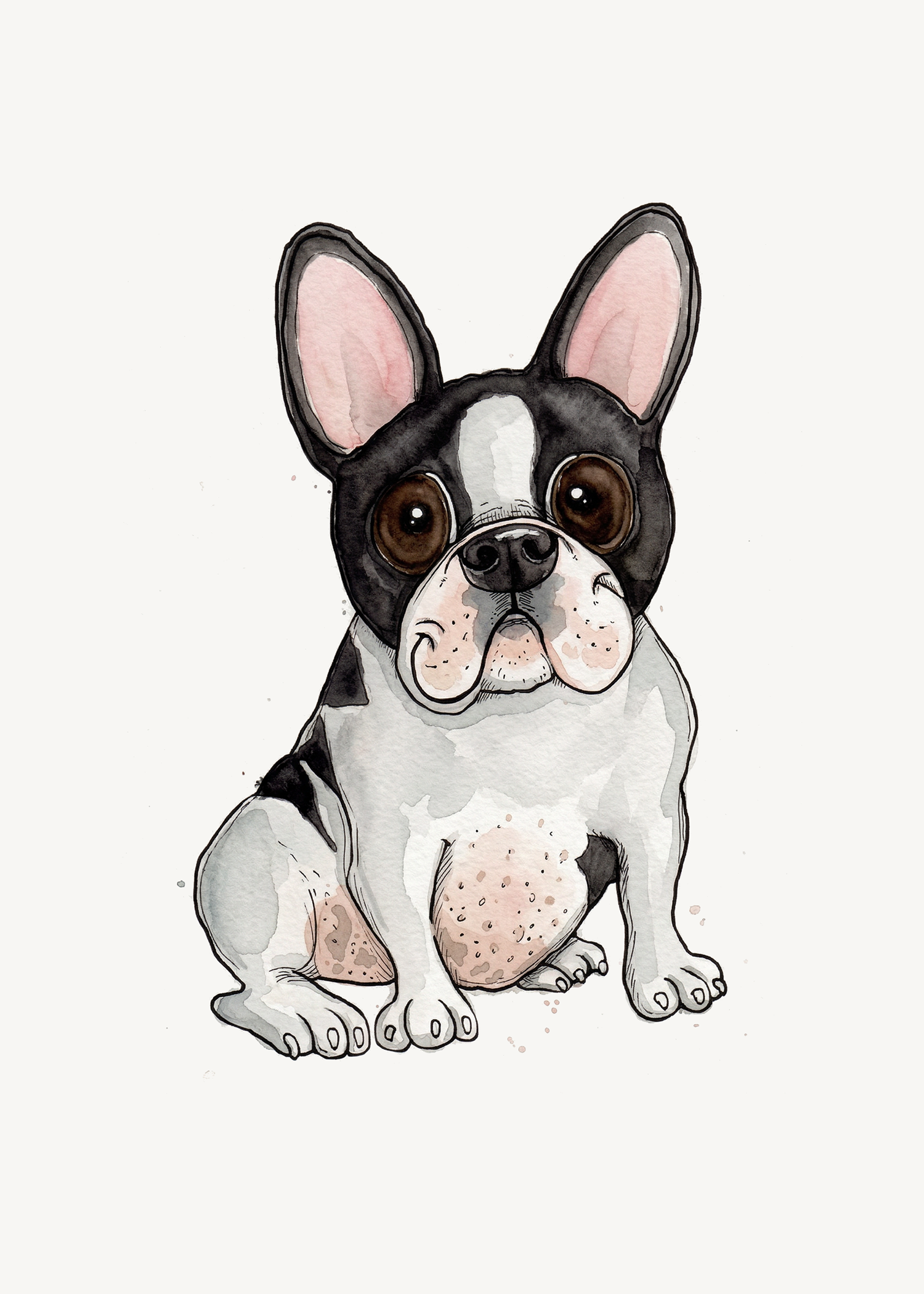 French Bulldog