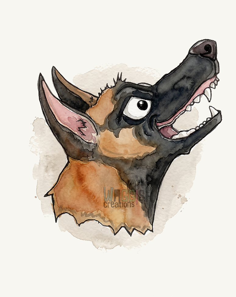 Belgian Malinois Profile