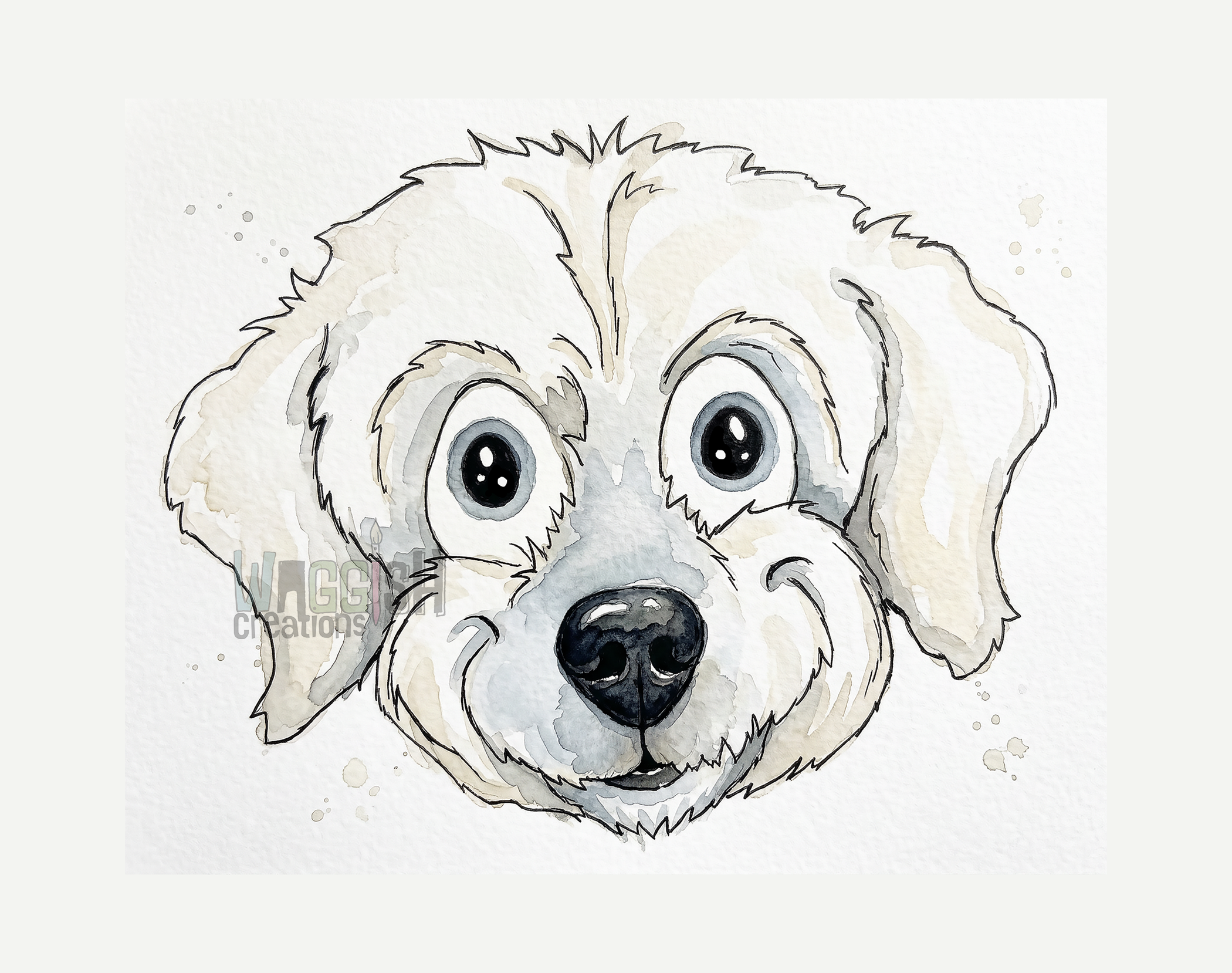 Maltipoo Face
