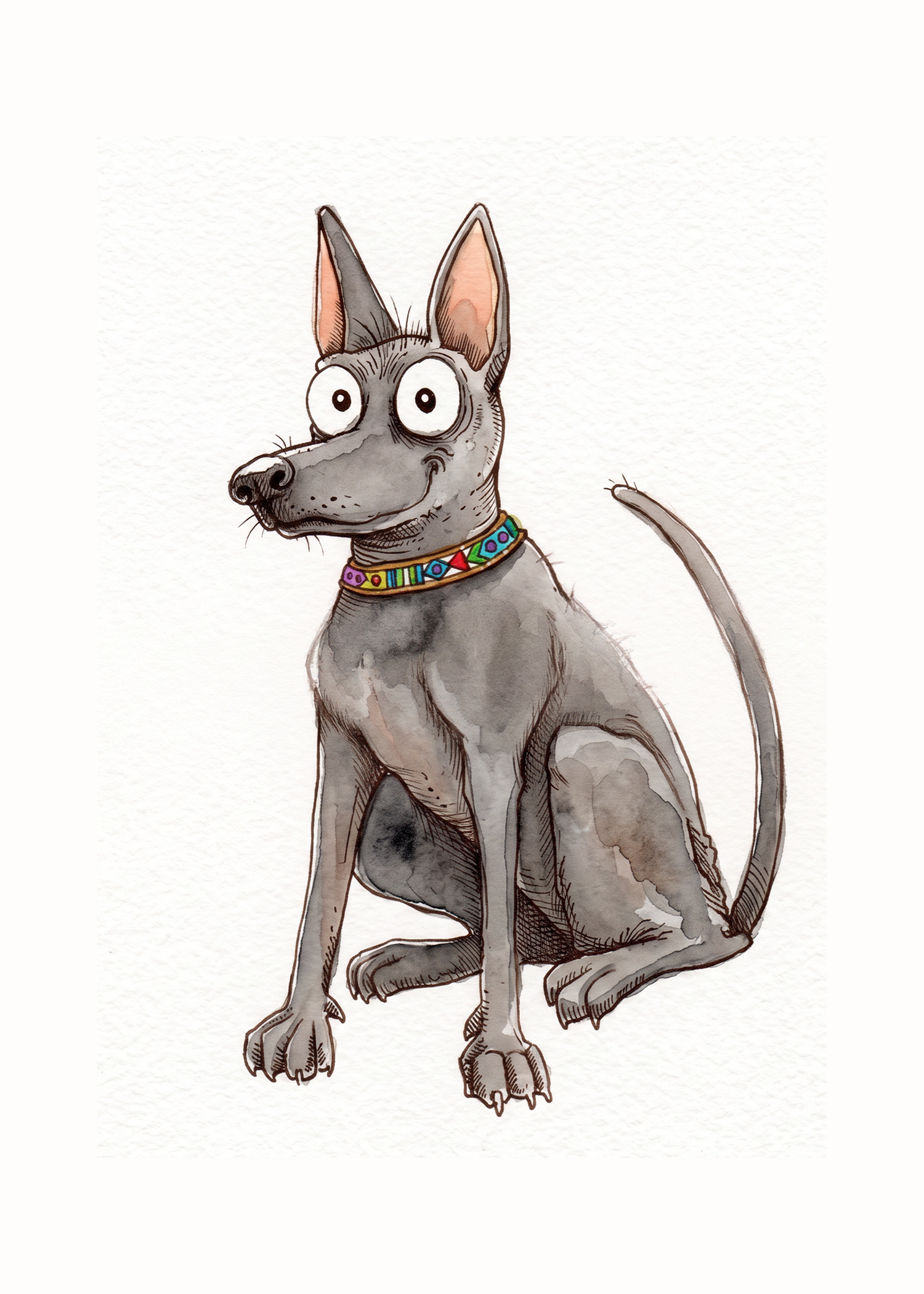 Xoloitzcuintli