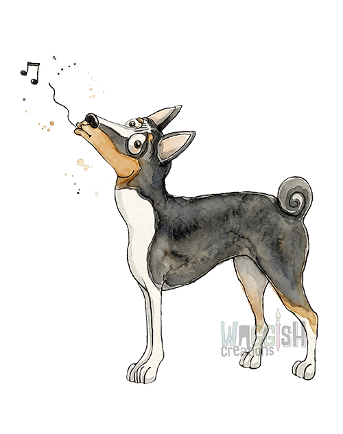 Basenji