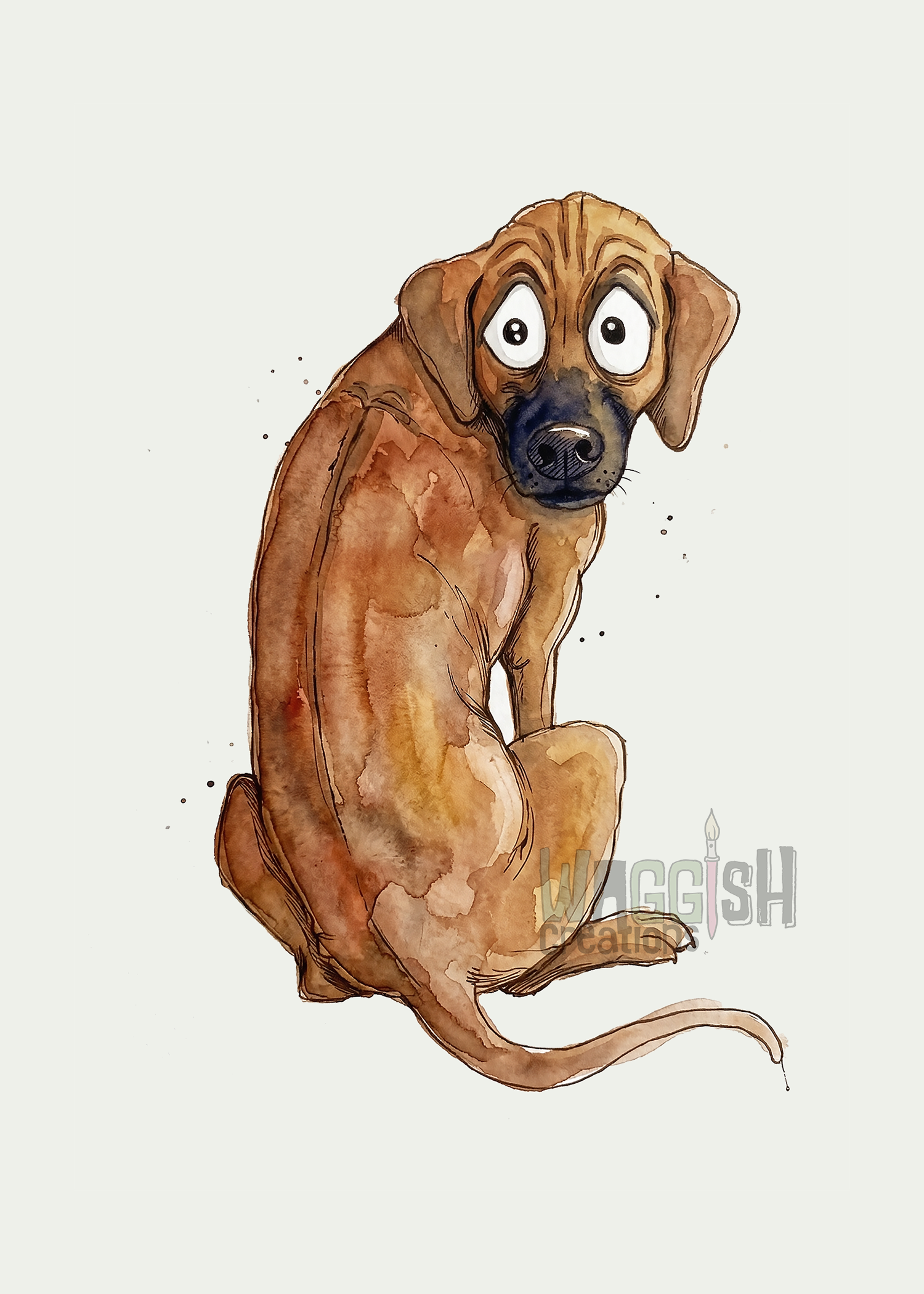 Rhodesian Ridgeback