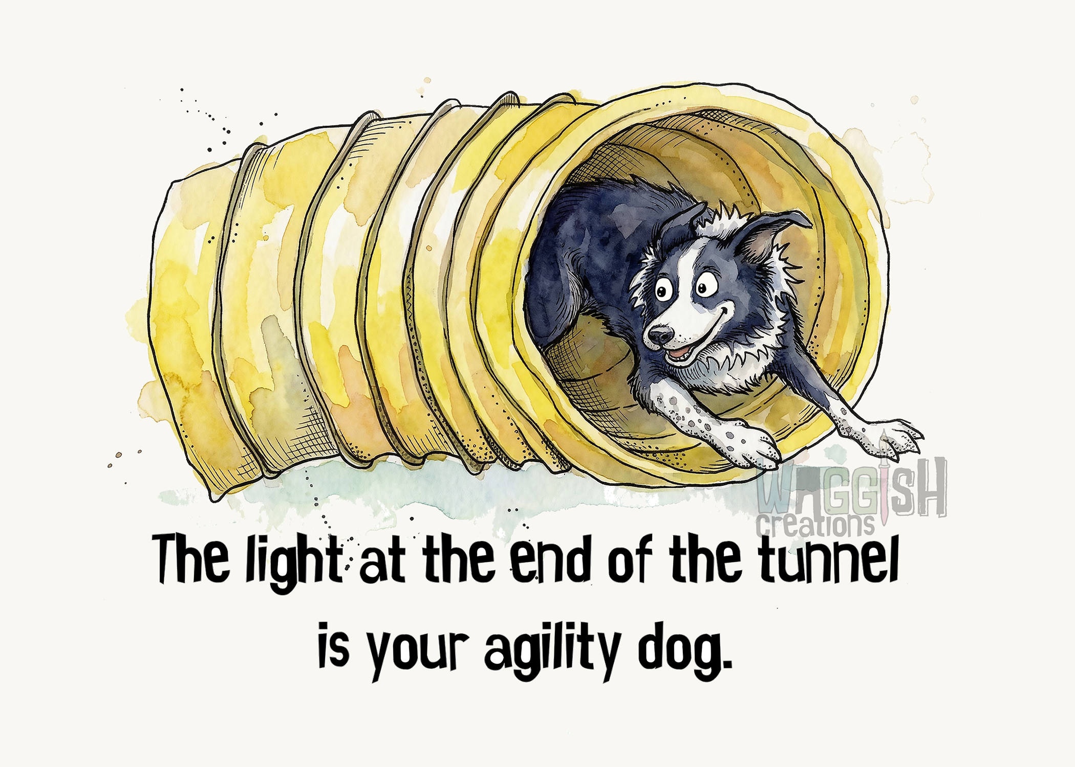 Light at the End of Agility Tunnel (Border Collie)