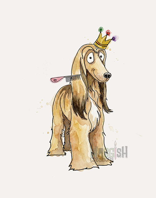 Afghan Hound