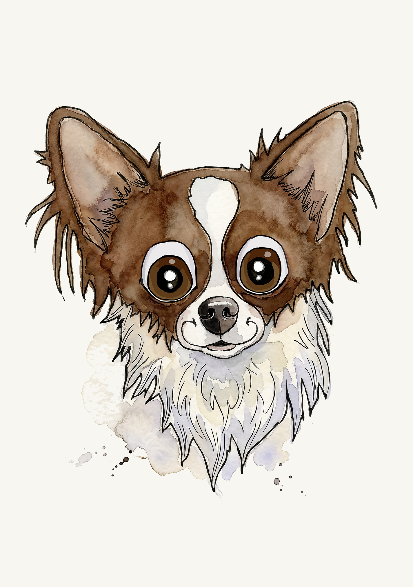 Chihuahua Long Haired