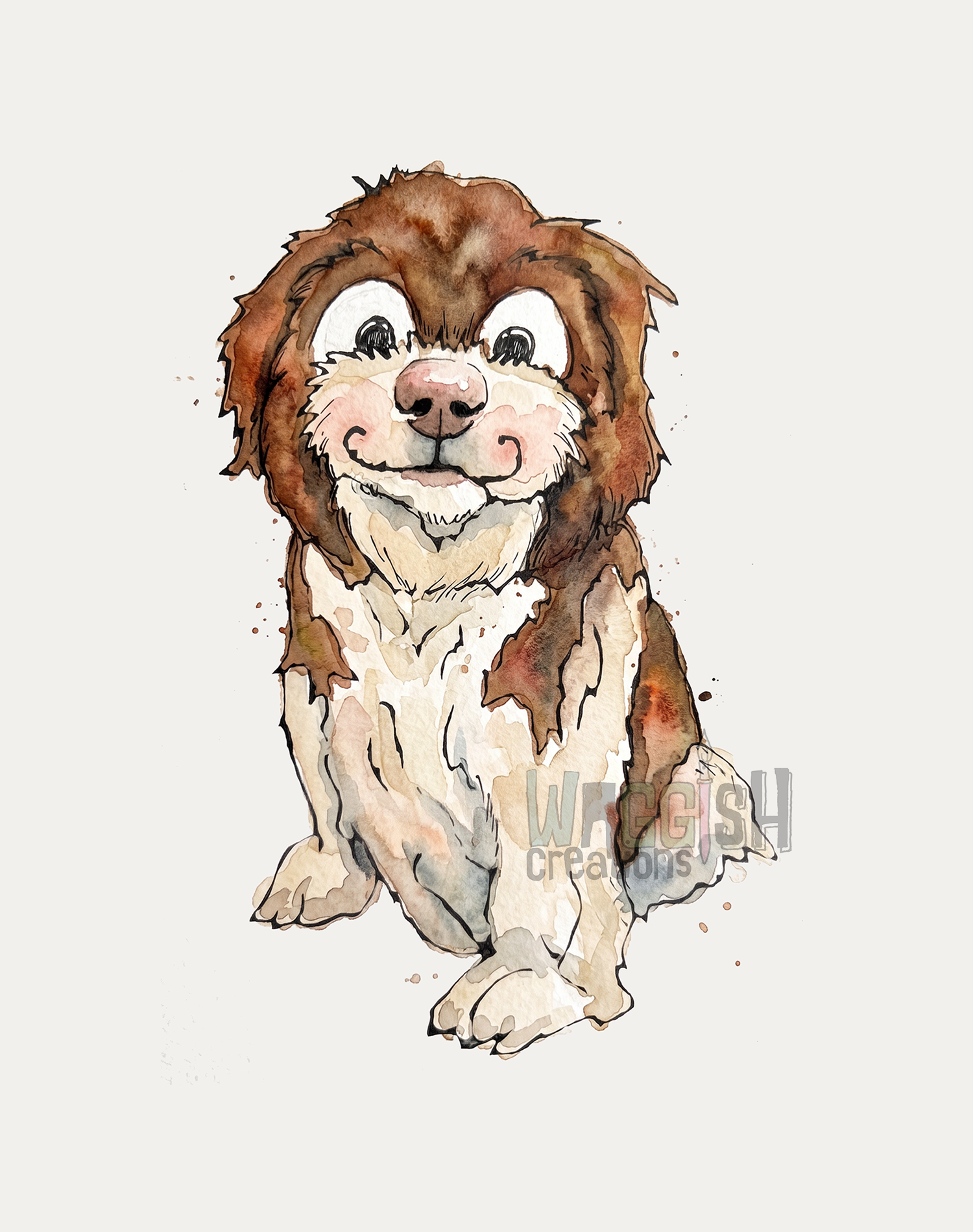 Shih Tzu
