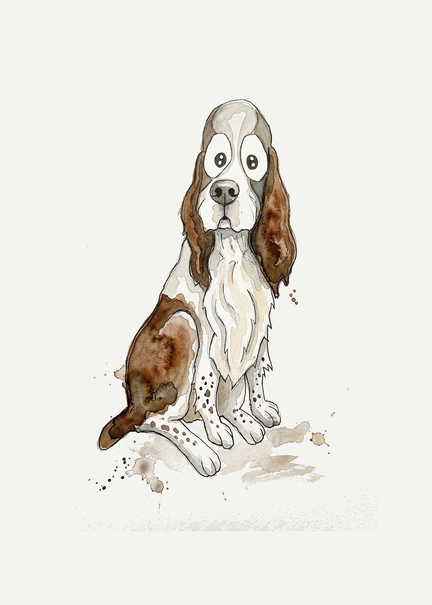 Springer Spaniel
