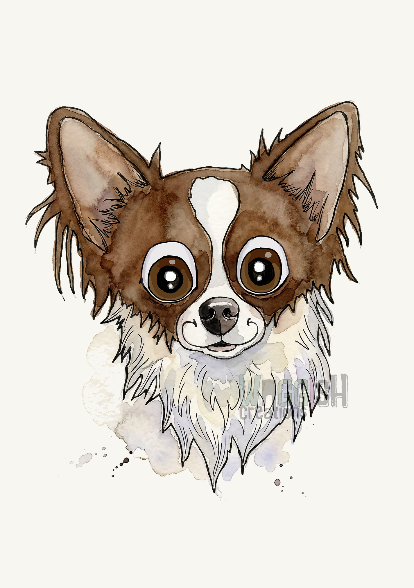 Chihuahua Long Haired