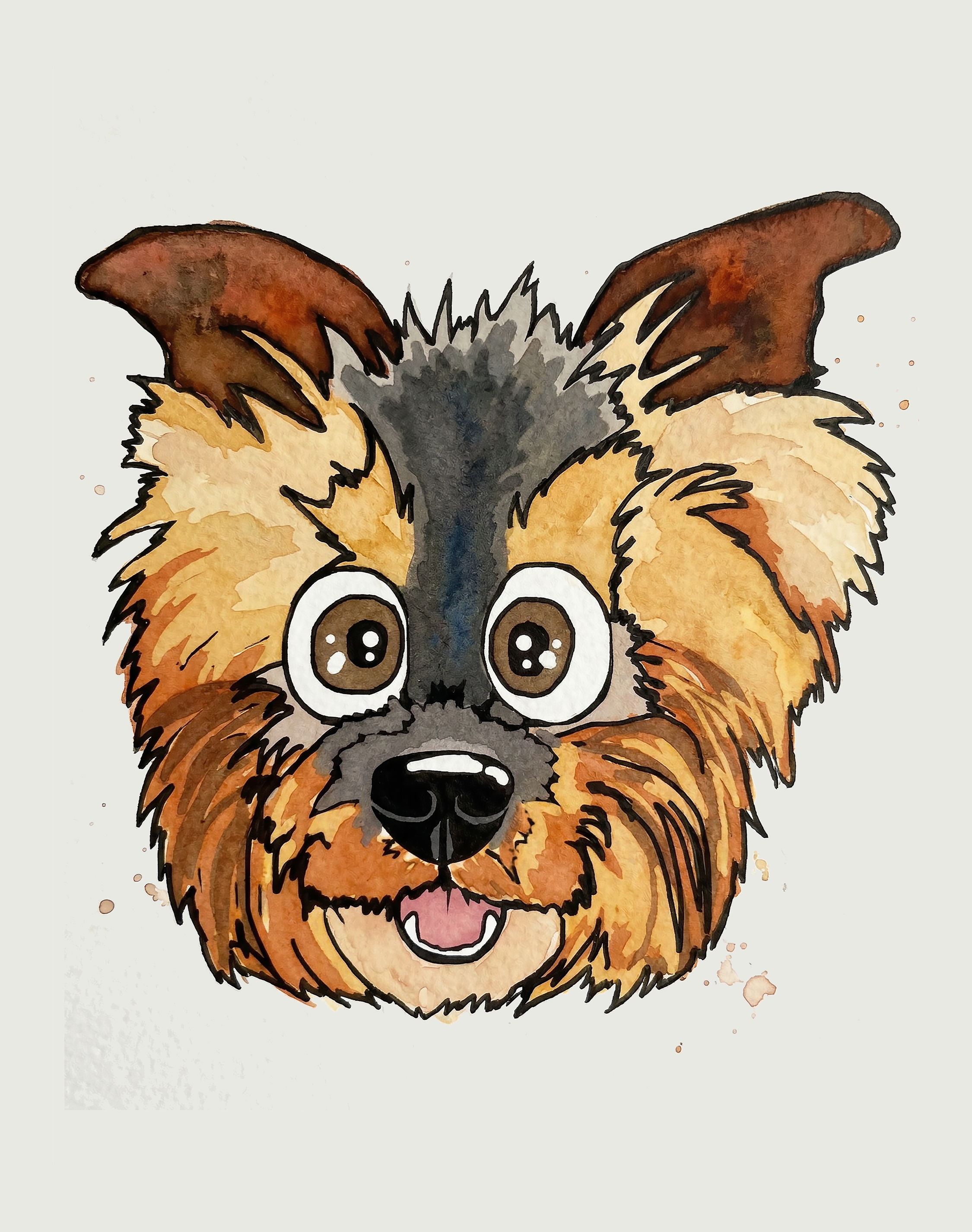 Yorkshire Terrier