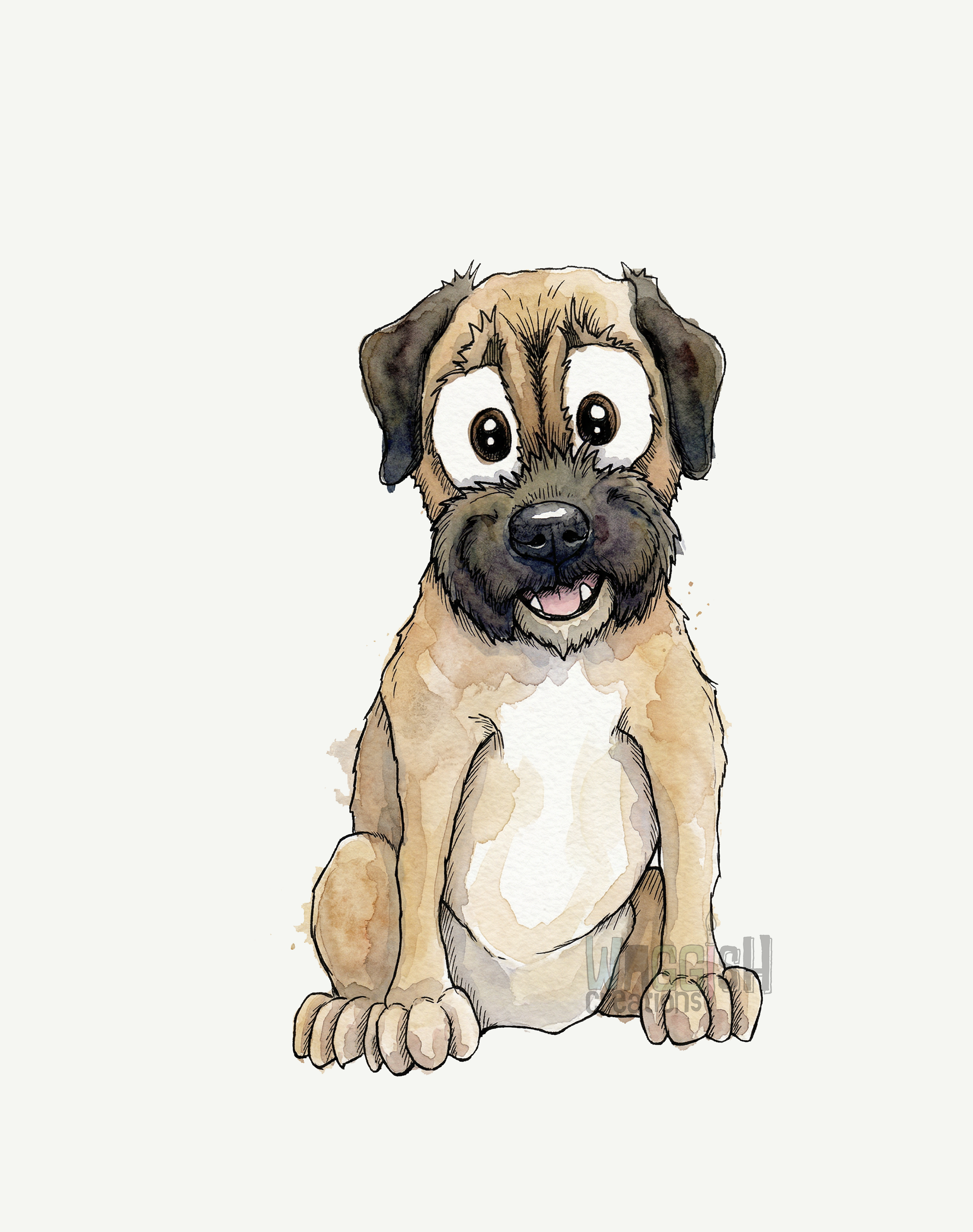 Border Terrier