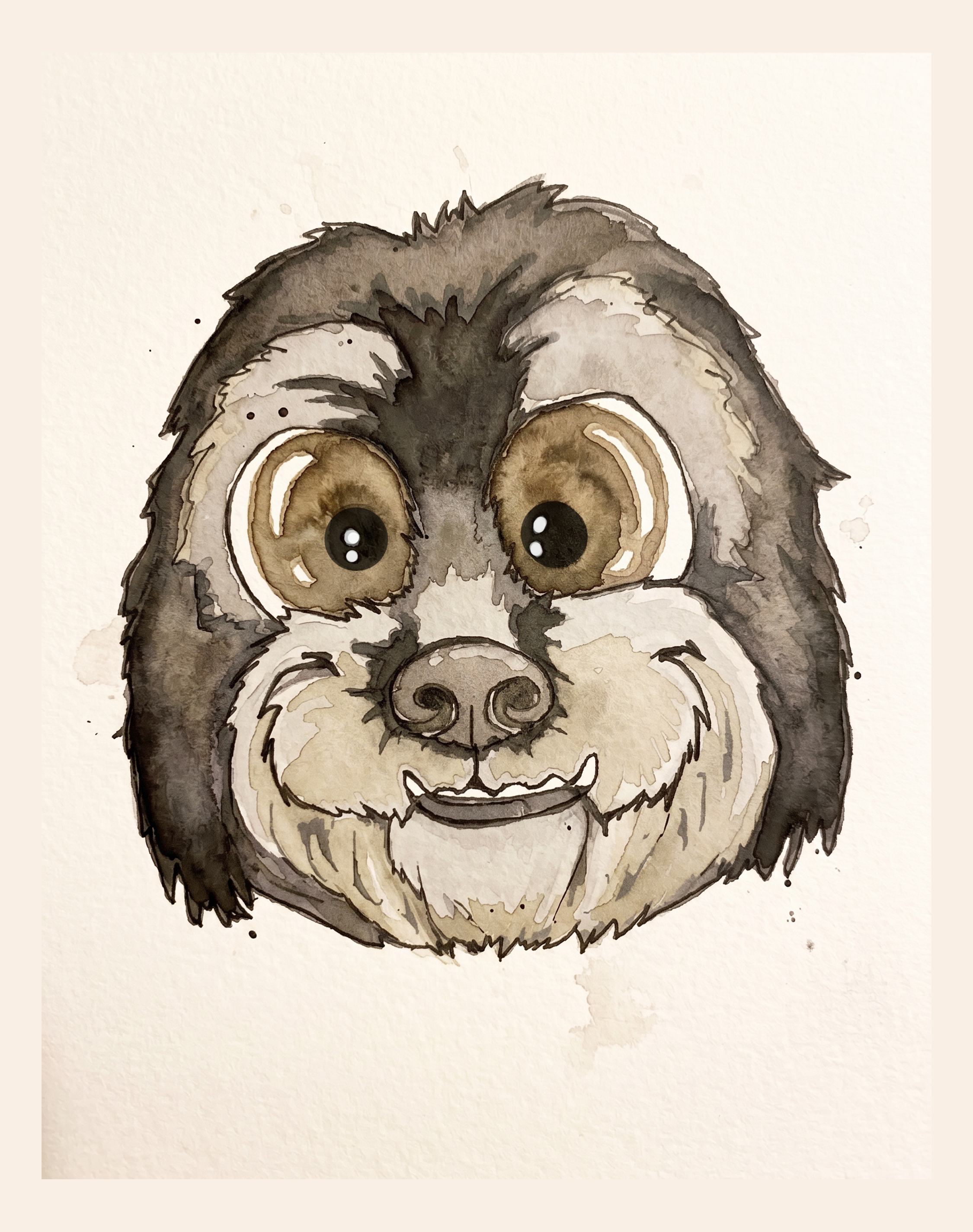 Shih Tzu (Face)