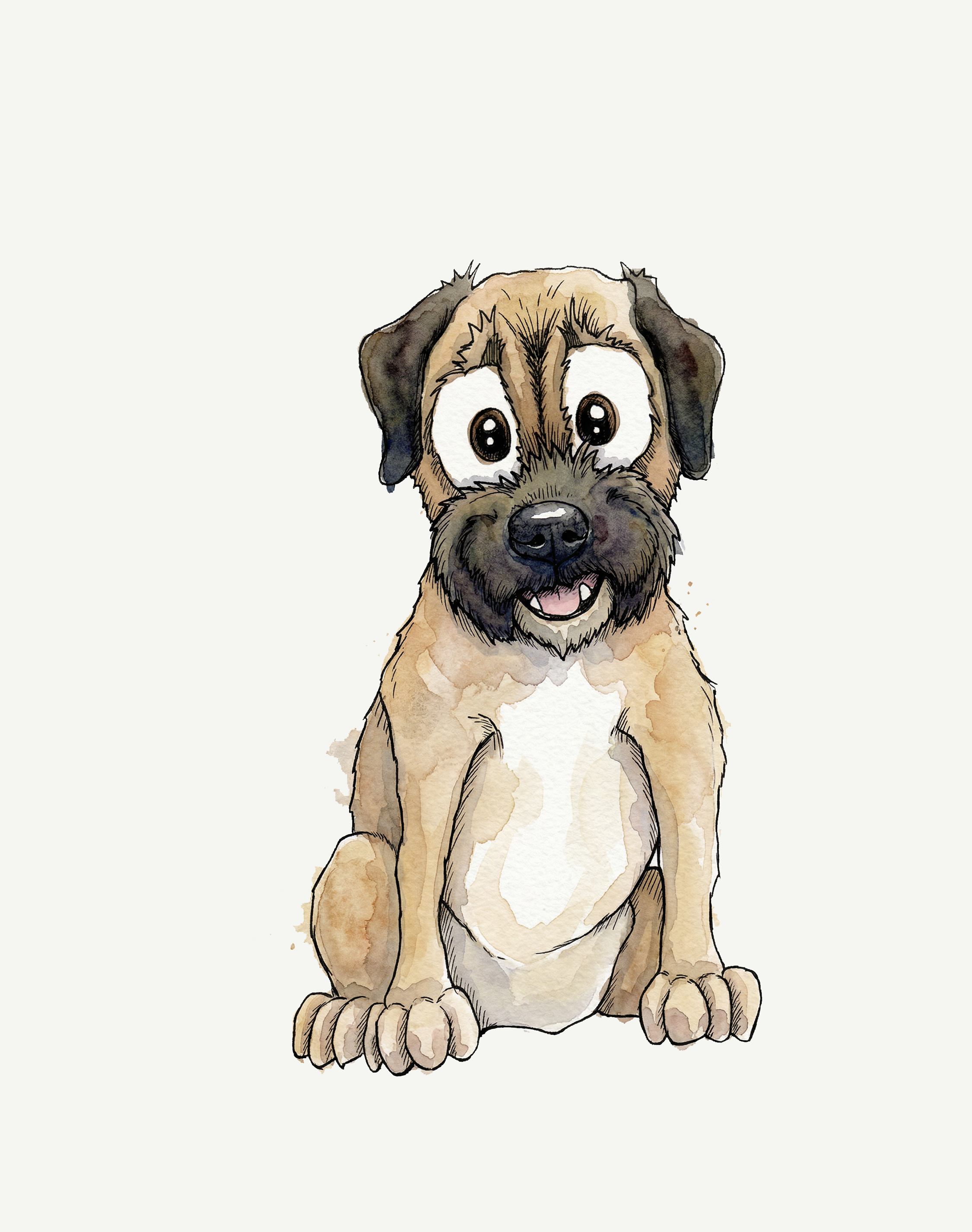 Border Terrier
