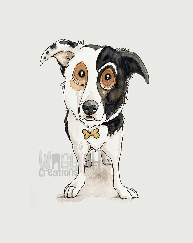 Border Collie with Bone Tag