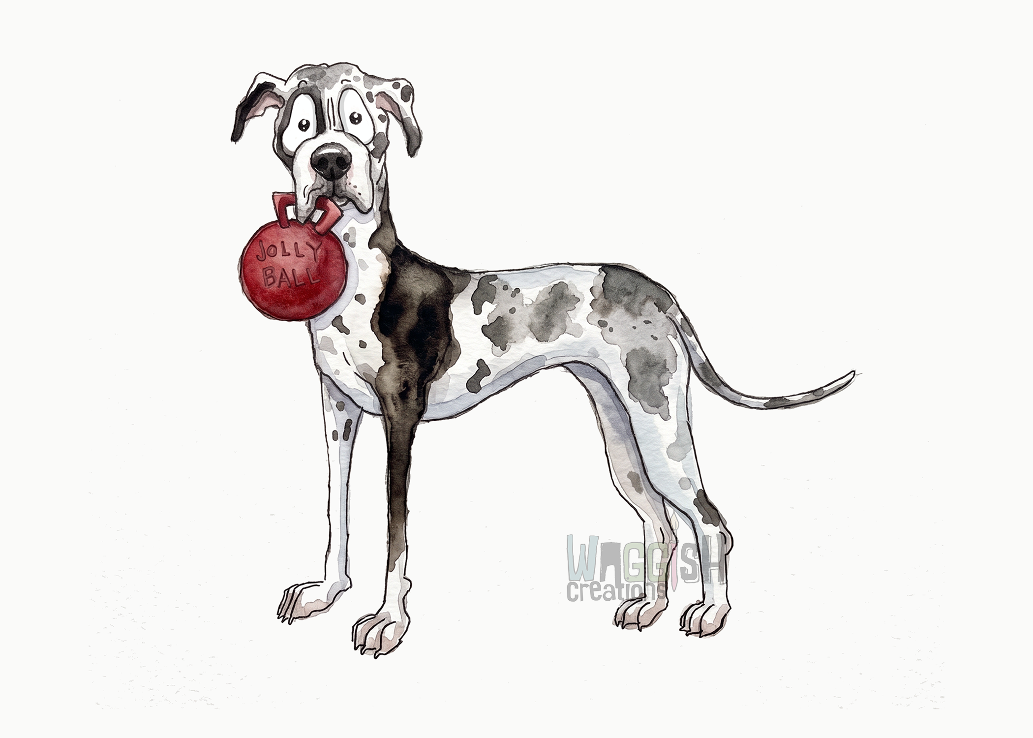 Great Dane (Harlequin)