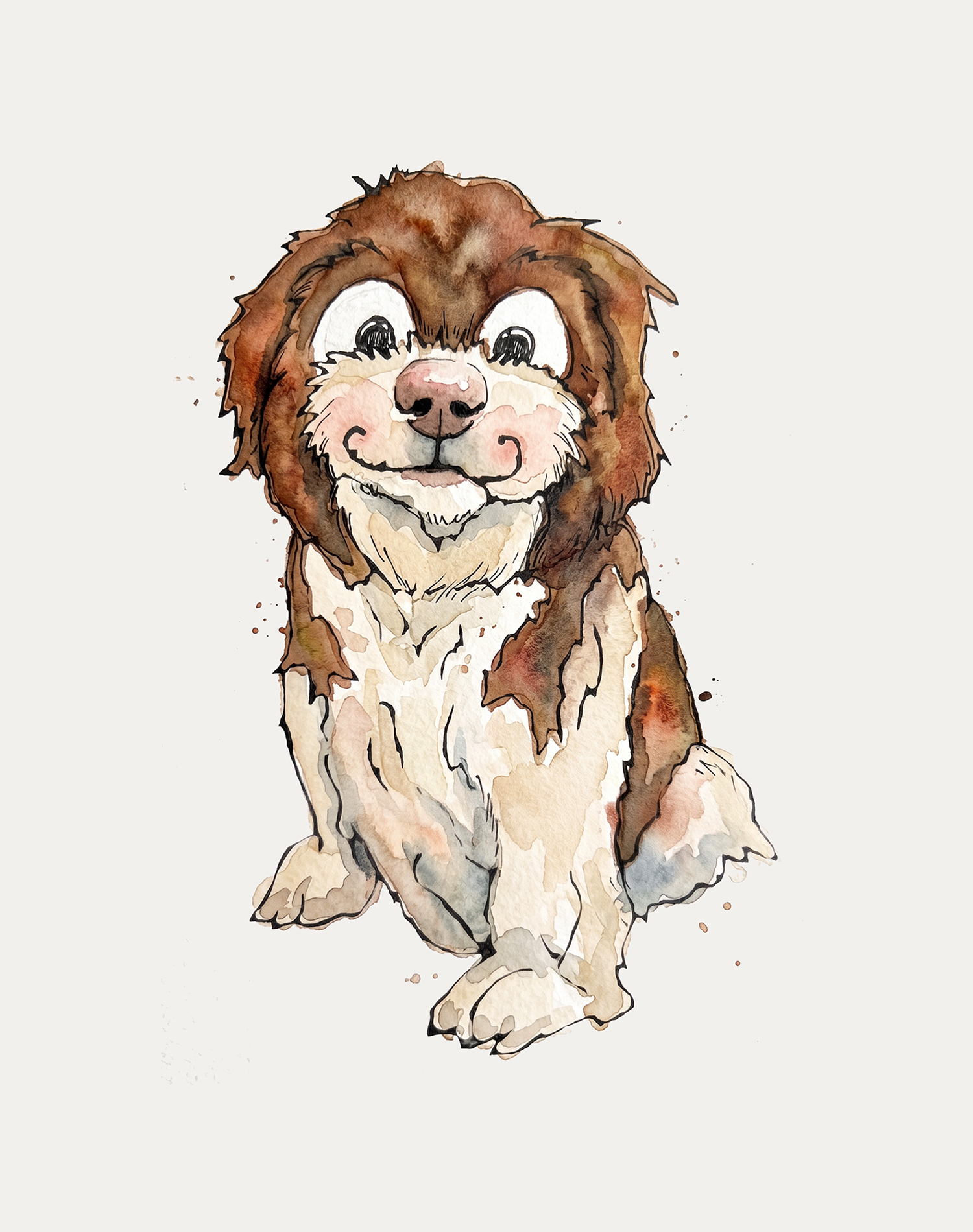 Shih Tzu