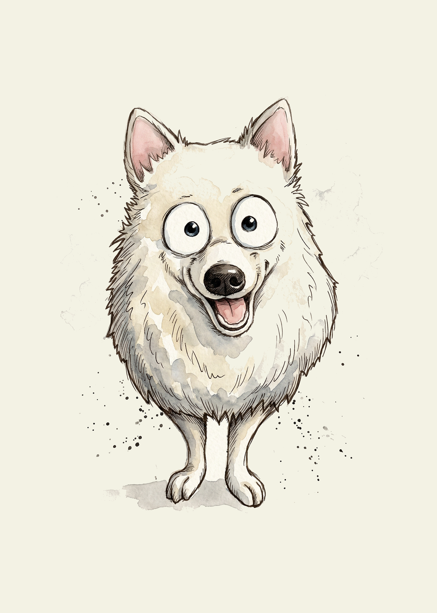 American Eskimo