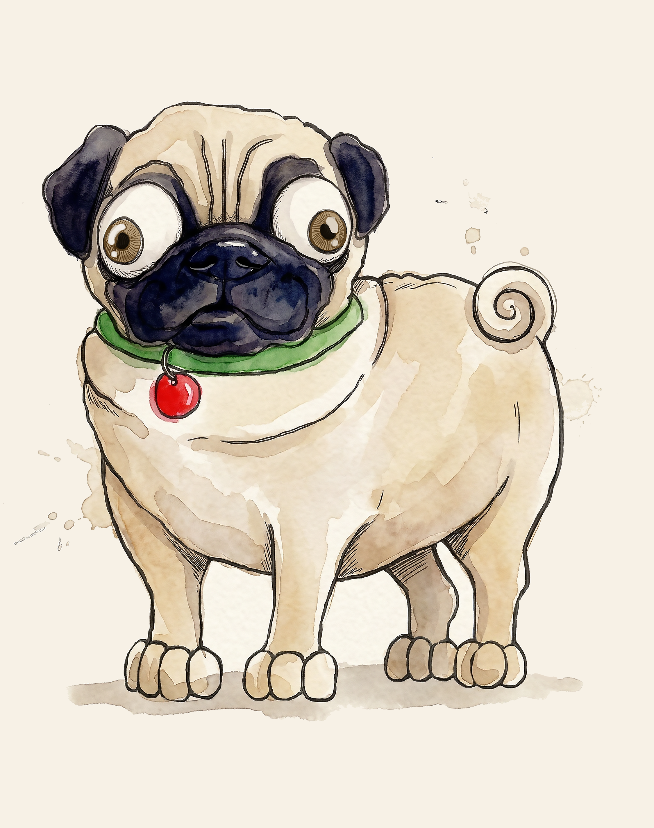 Pug Standing