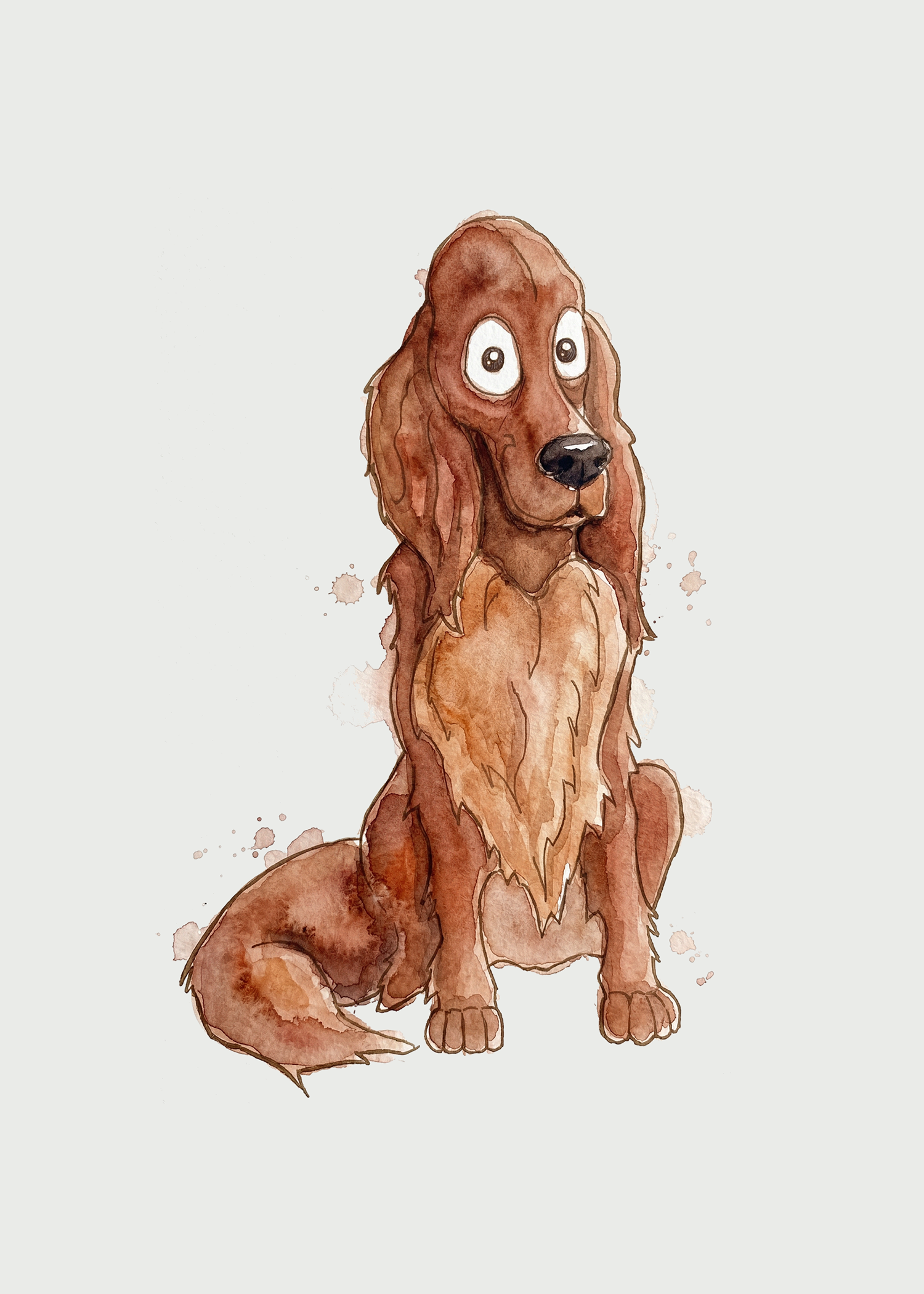 Irish Setter