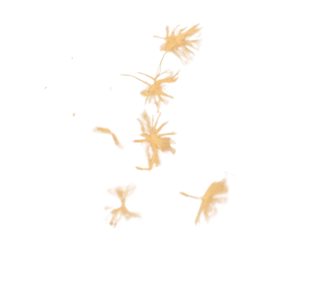 Scattered beige-colored dried dandelion petals blowing in the breeze on a transparent background.