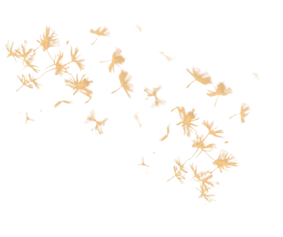 Scattered beige-colored dried dandelion petals blowing in the breeze on a transparent background.