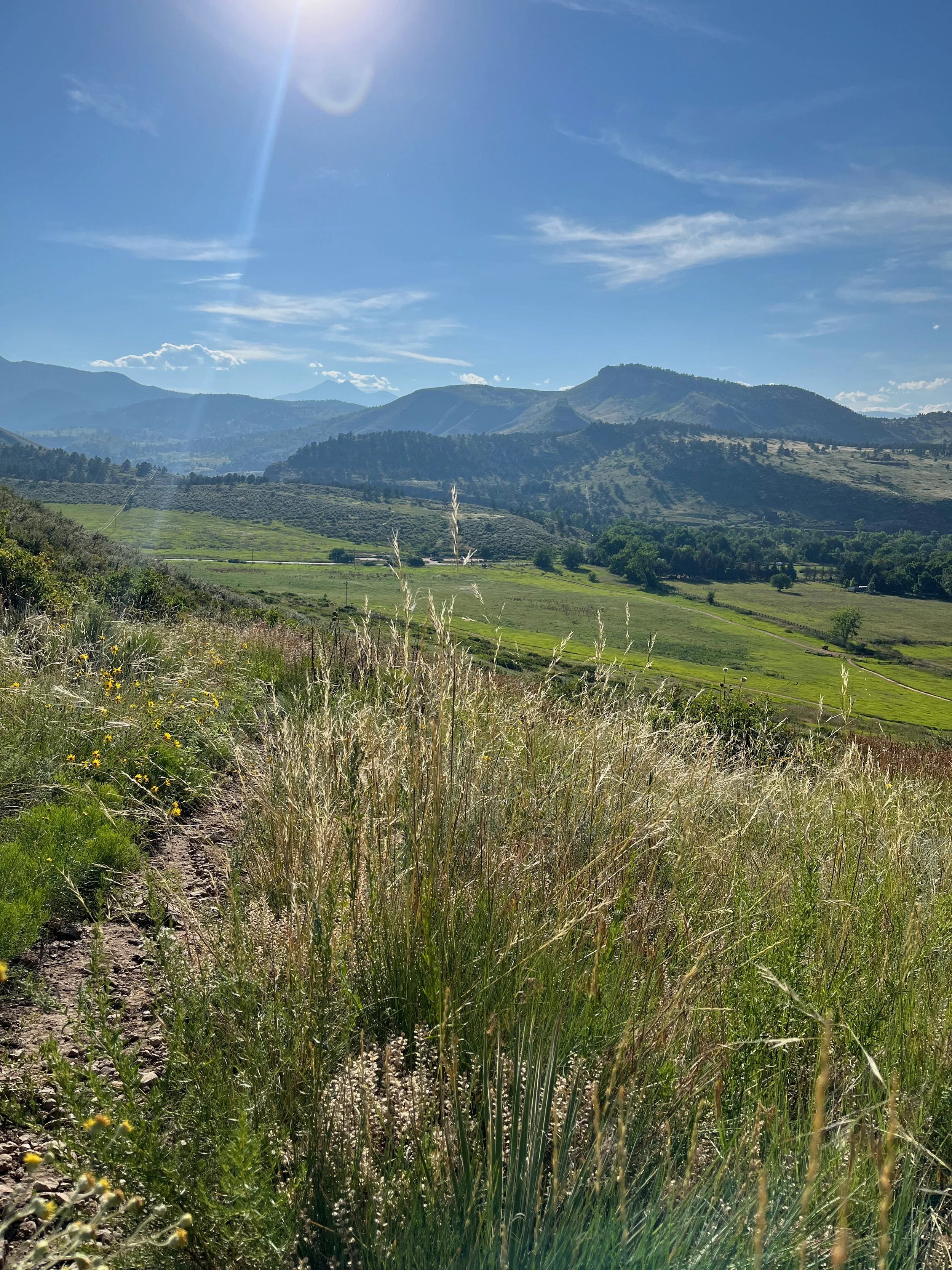 Sun shining over a lush green valley with rolling hills and mountain ranges in the background, tall grasses and wildflowers in the foreground.
