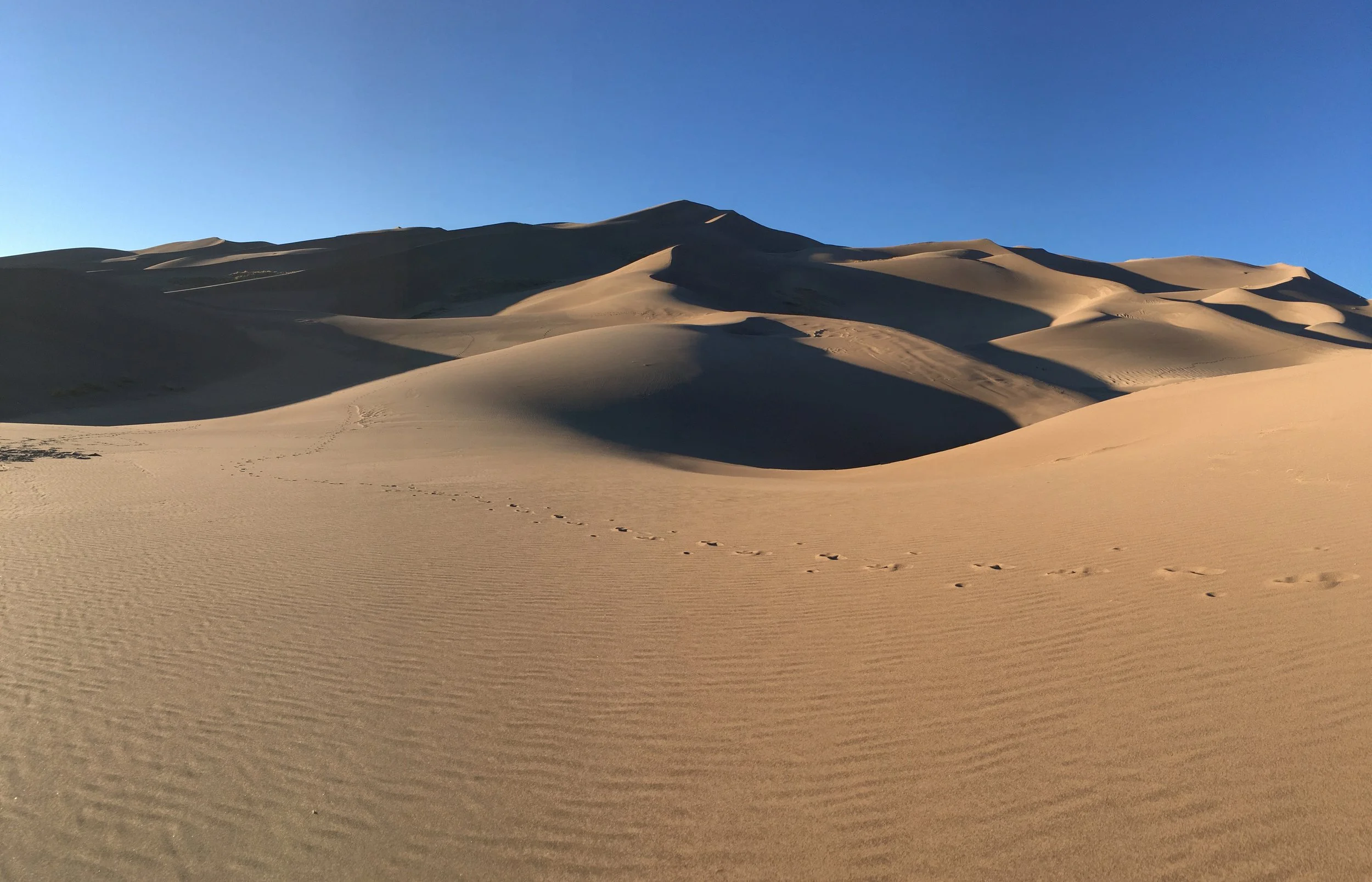 Desert landscape with rolling sand dunes under clear blue sky, sunlight casting shadows on dunes, footprints visible in foreground.